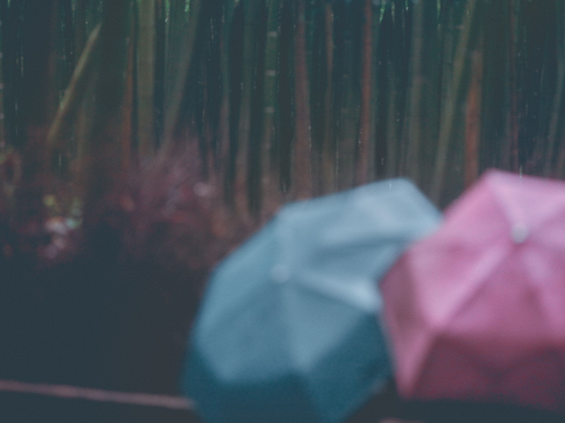kyoto with rain