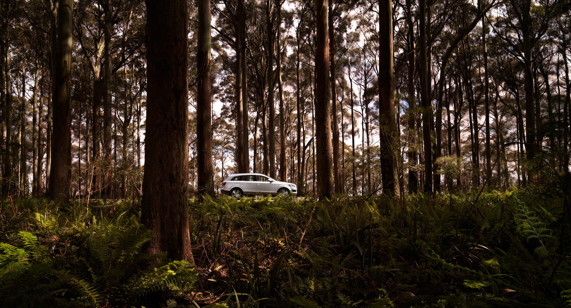 audi, q7, australia, campaign, anke luckmann, www.ankeluckmann.com, kai tietz, transportation