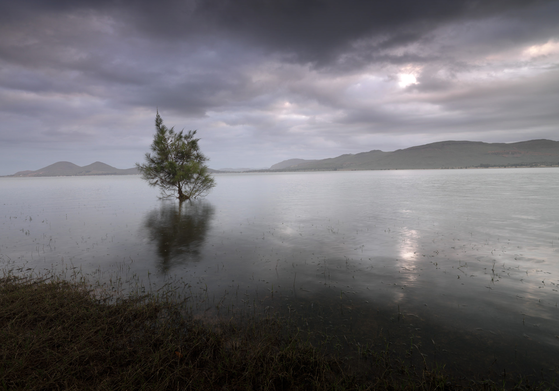 HG 0010, landscape, sea, tree, personal work, www.ankeluckmann.com, anke luckmann,