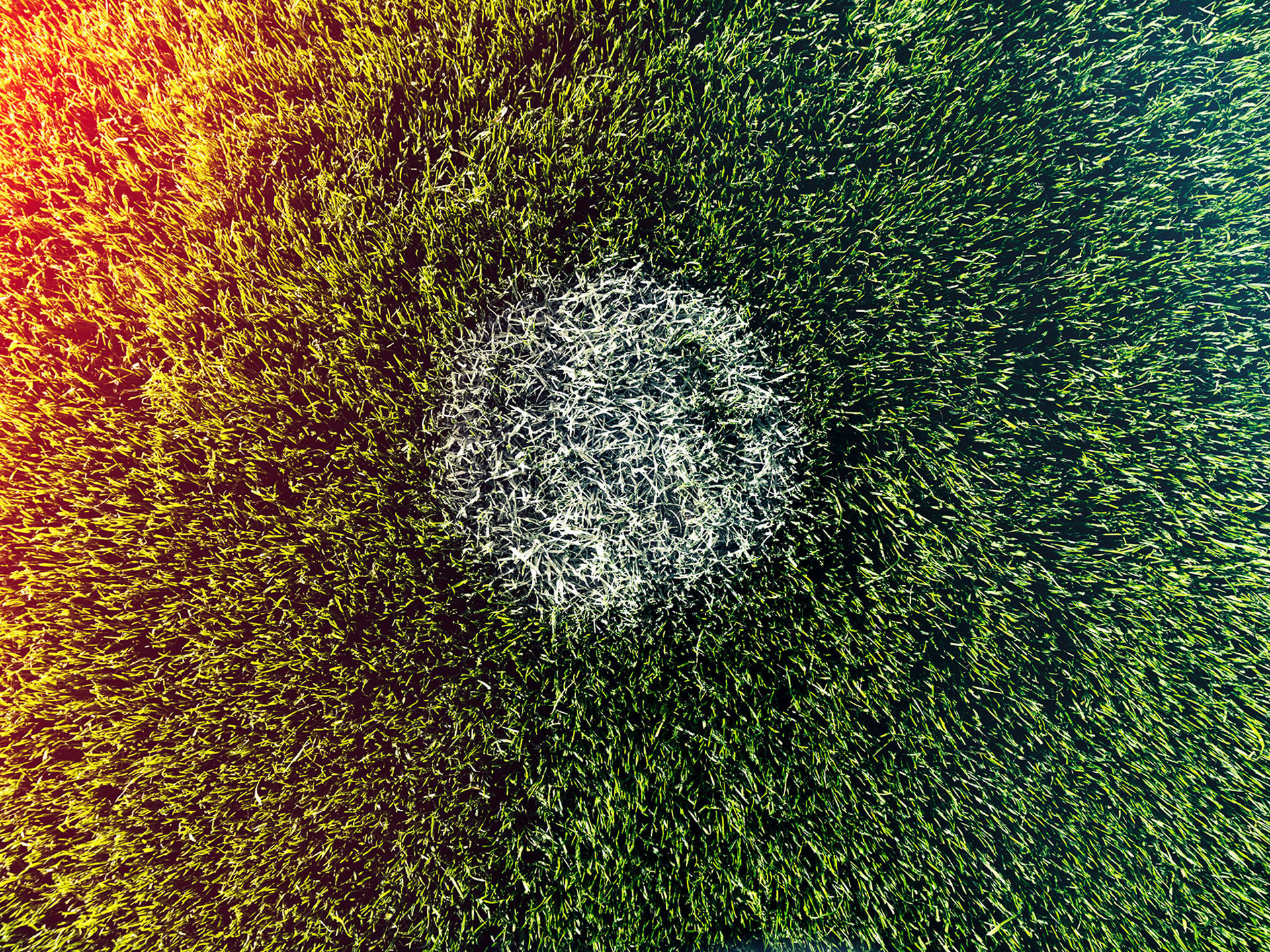 Audi GB Guardiola Stadler, Audi Geschaeftsbericht, audi annual; Pep Guardiola; Rupert Stadler; Audi; FC Bayern; Allianz Arena; munich; köckritzdörrich GmbH, www.ankeluckmann.com, anke luckmann, elisabeth winter, Art Direction: Markus Brandstetter; Agent: Kai Tietz, football, stadium