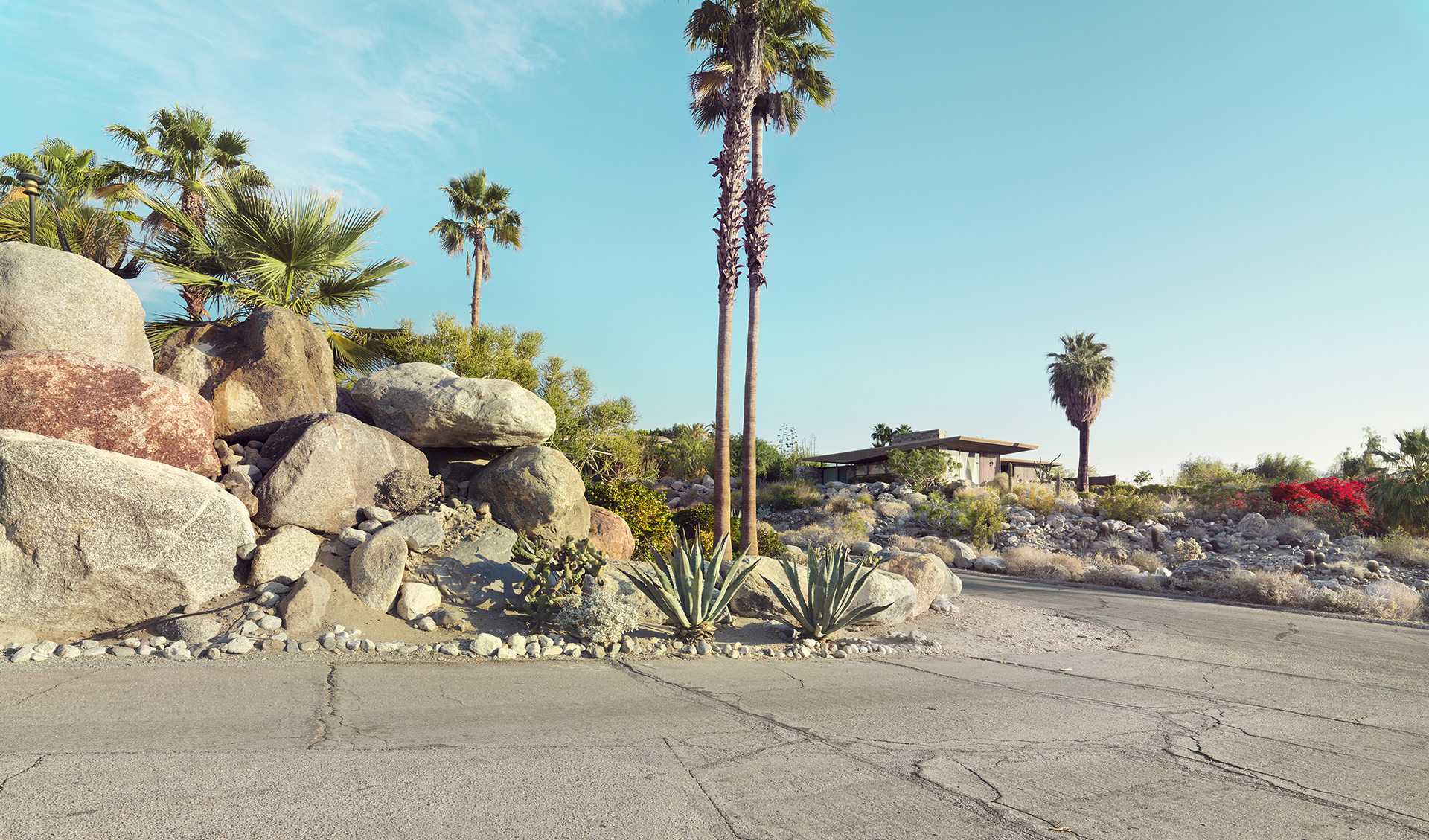 architecture, usa, california, palm springs, california, desert, palms, house, anke luckmann, www.ankeluckmann.com
