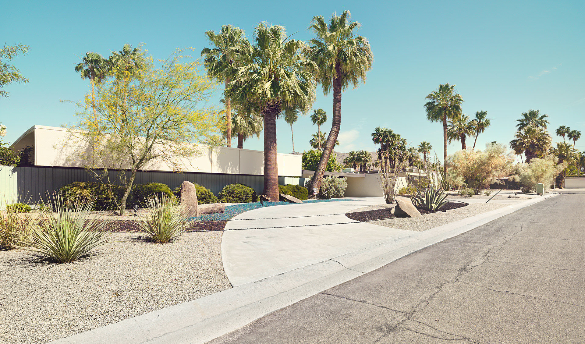 architecture, usa, california, palm springs, california, desert, palms, house, anke luckmann, www.ankeluckmann.com