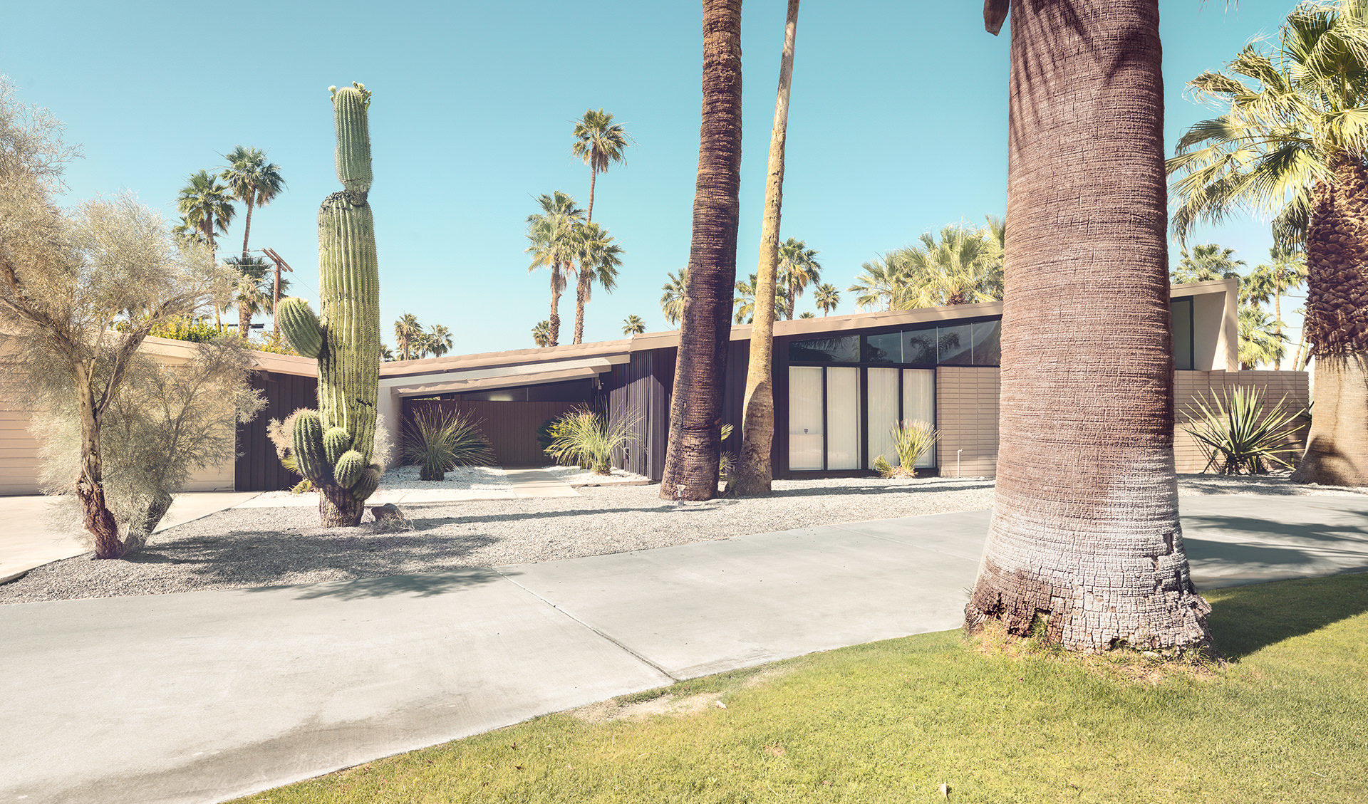 architecture, usa, california, palm springs, california, desert, palms, house, anke luckmann, www.ankeluckmann.com