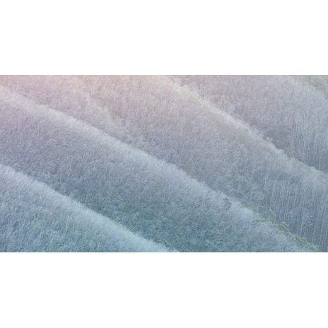 ©ankeluckmann1552p 464