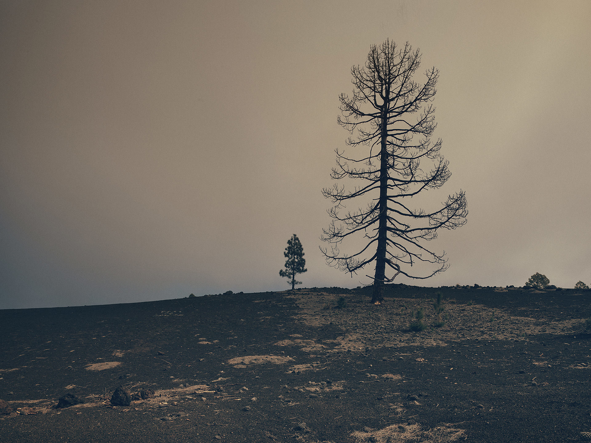 ©ankeluckmann1559, gosee awards, gold , anke luckmann, www.ankeluckmann.com, landscape, volcanic, trey, personal project