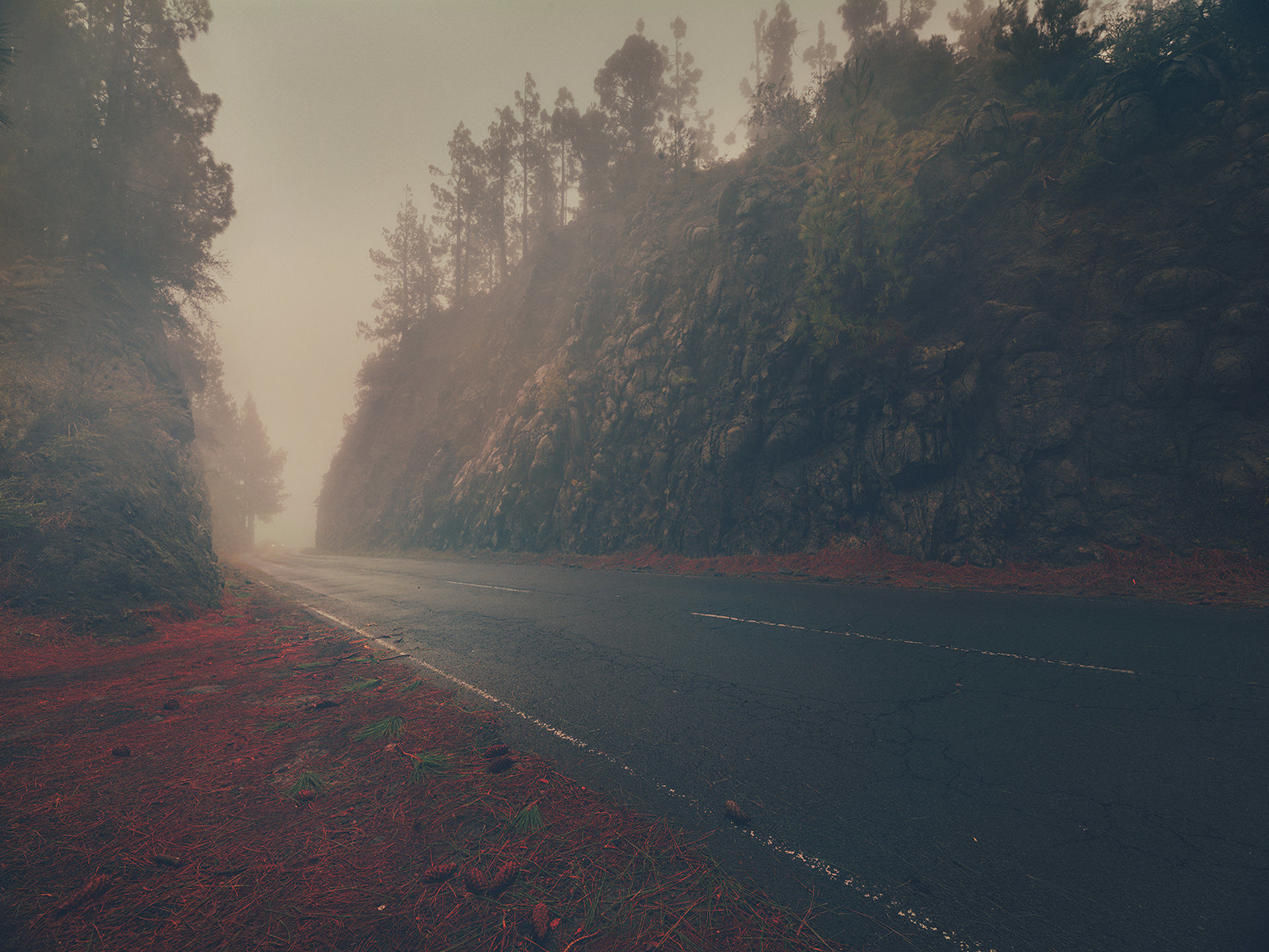 ©ankeluckmann1560, gosee awards, gold , anke luckmann, www.ankeluckmann.com, landscape, volcanic, trey, personal project