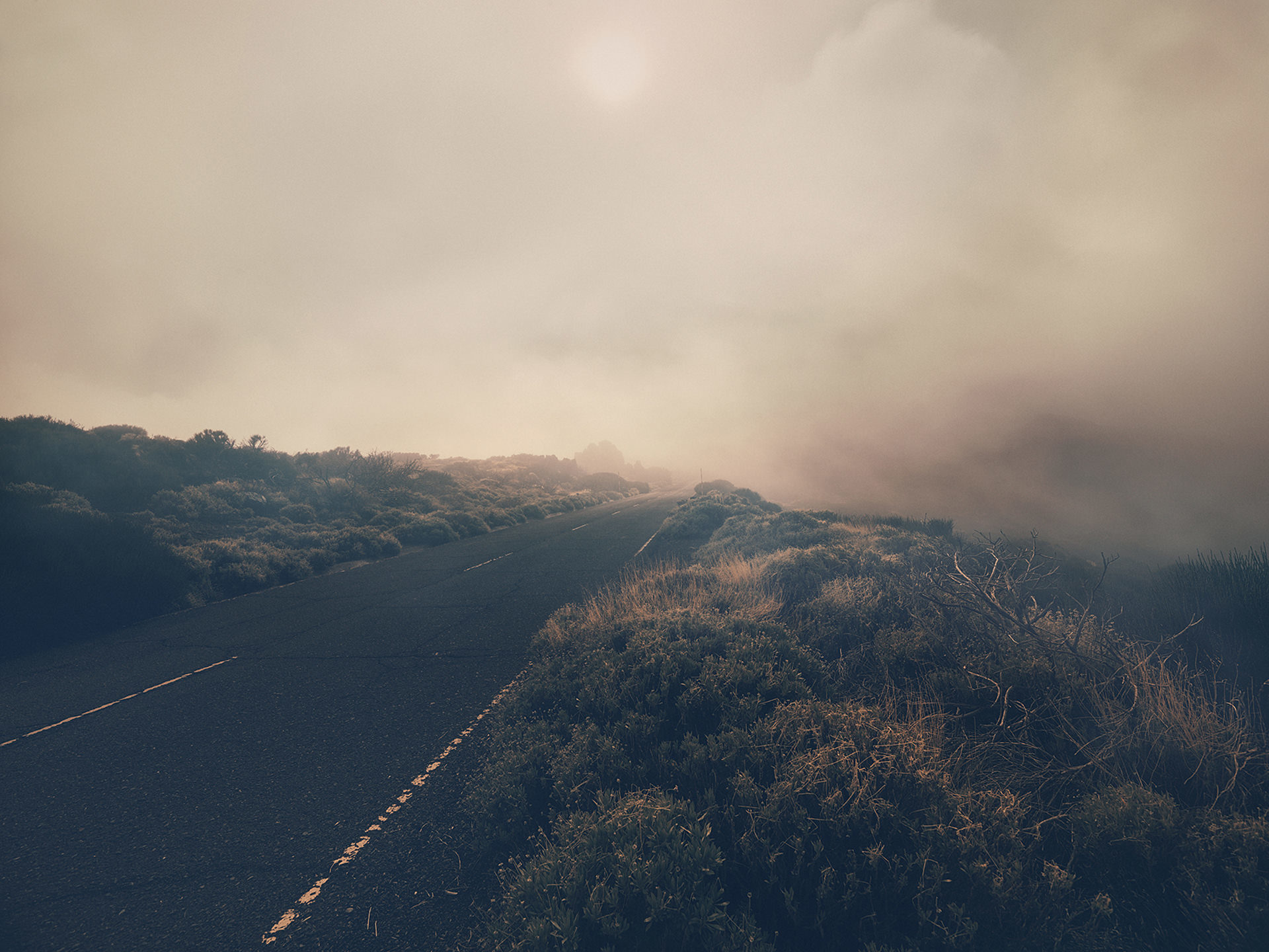 ©ankeluckmann1563, gosee awards, gold , anke luckmann, www.ankeluckmann.com, landscape, volcanic, trey, personal project