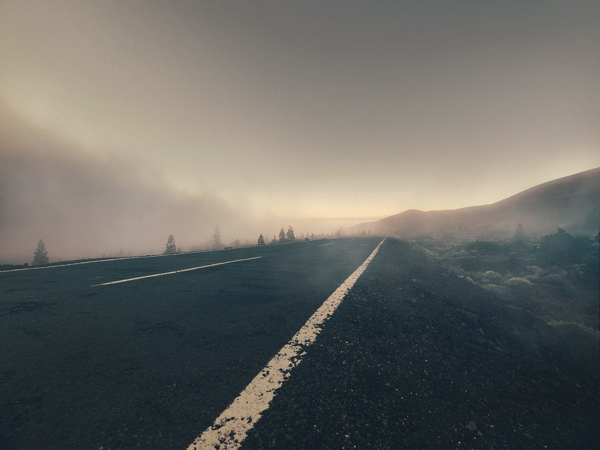 ©ankeluckmann1564, gosee awards, gold , anke luckmann, www.ankeluckmann.com, landscape, volcanic, trey, personal project