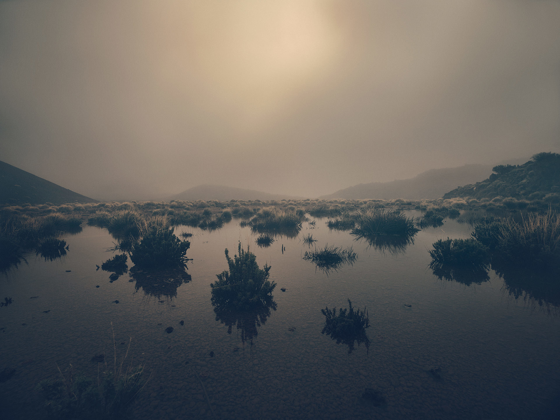 ©ankeluckmann1565, gosee awards, gold , anke luckmann, www.ankeluckmann.com, landscape, volcanic, trey, personal project