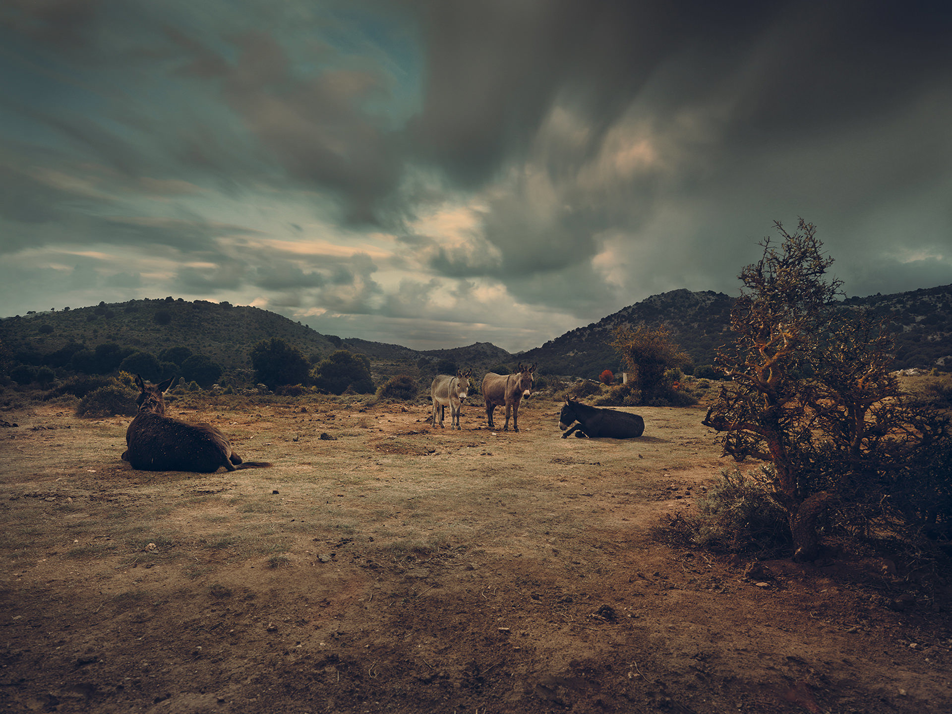 Sardenya, landscape, sardinia, sardinien, italy, anke luckmann, www.ankeluckmann.com