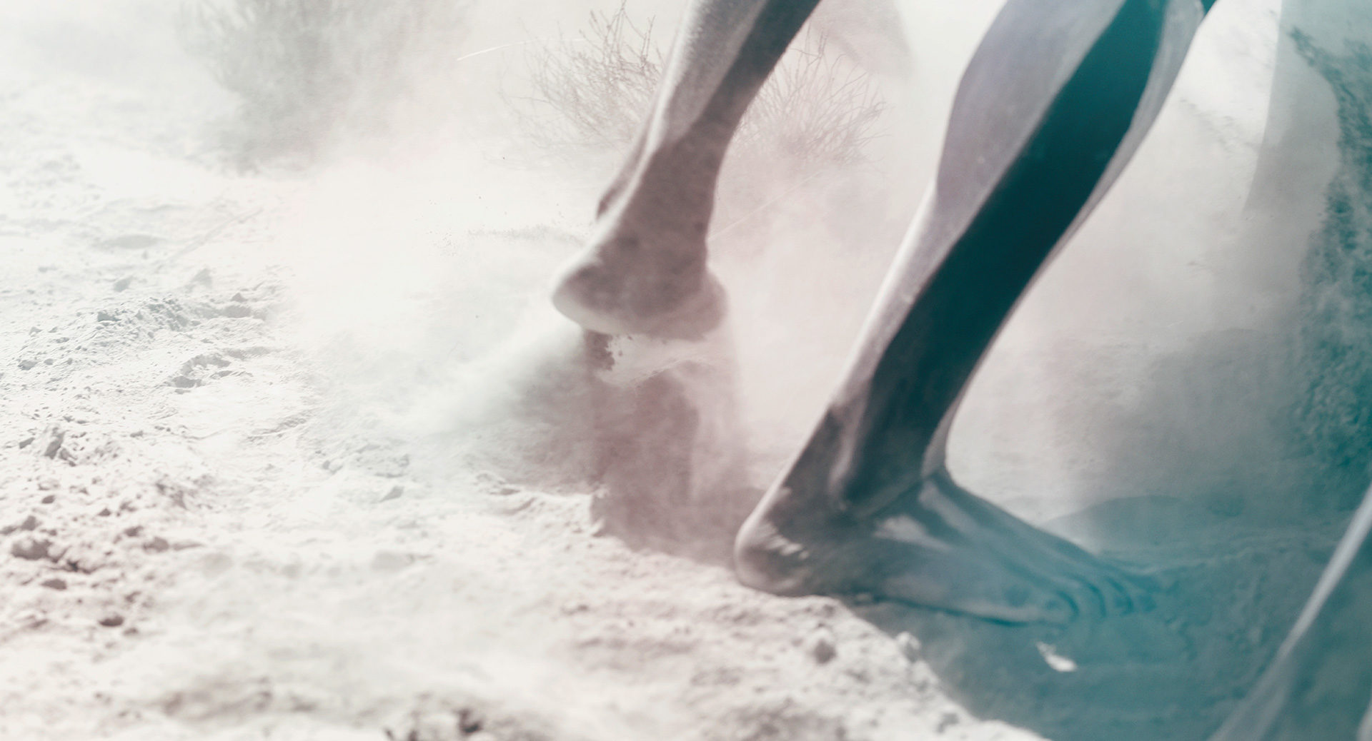 ©ankeluckmann1608 1038