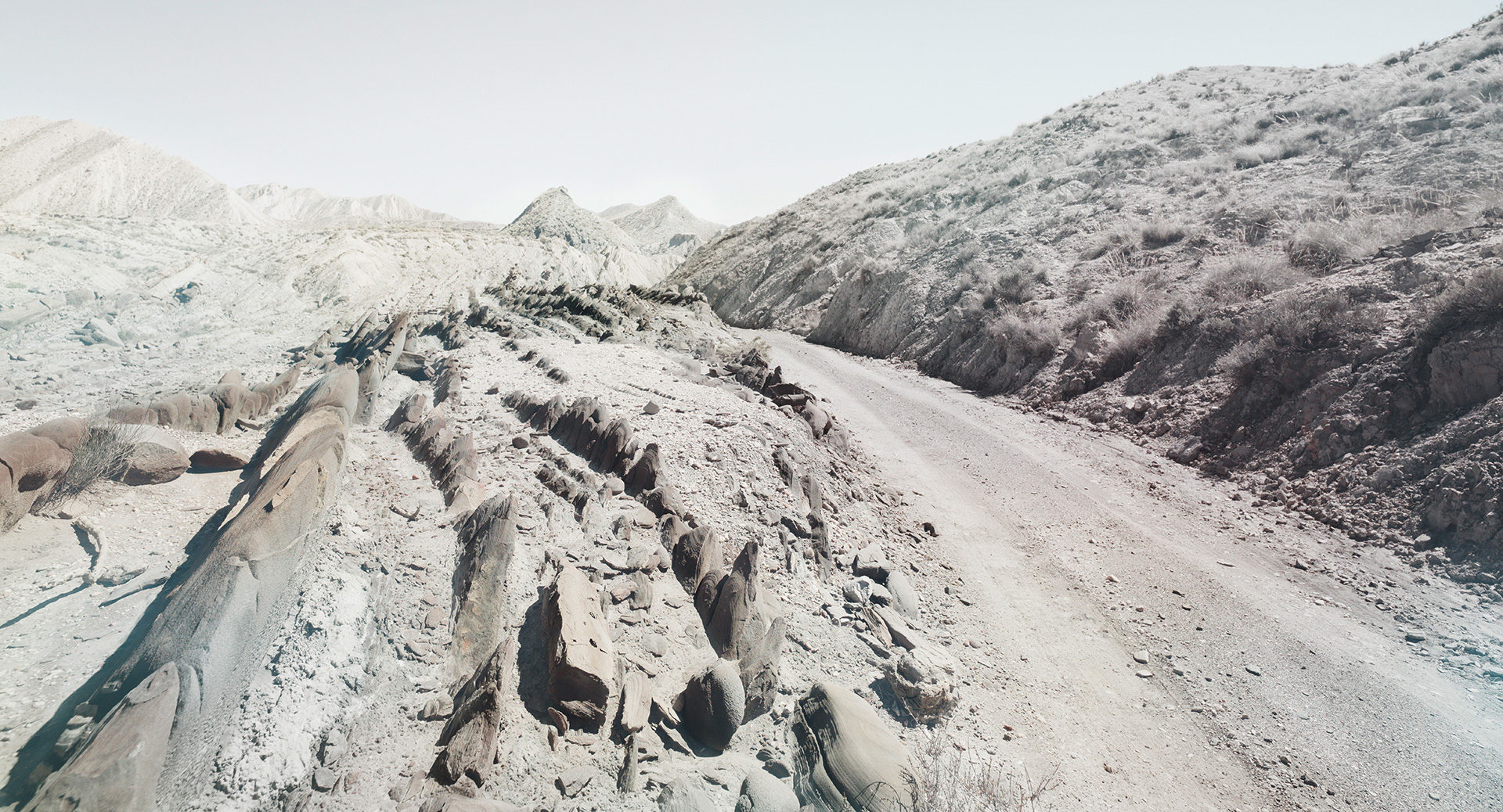 ©ankeluckmann1610 1038