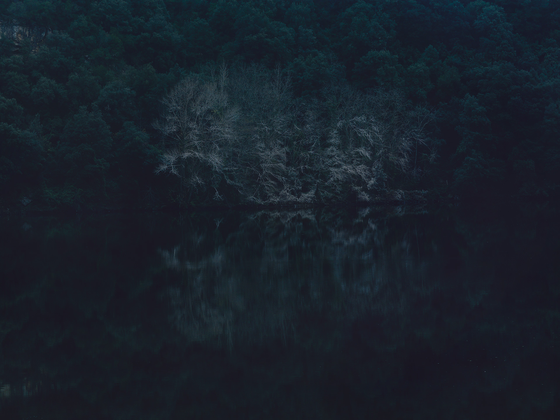 dark, water, fineart, elisabeth winter, Spain, landscape, trees, anke luckmann, www.ankeluckmann.com