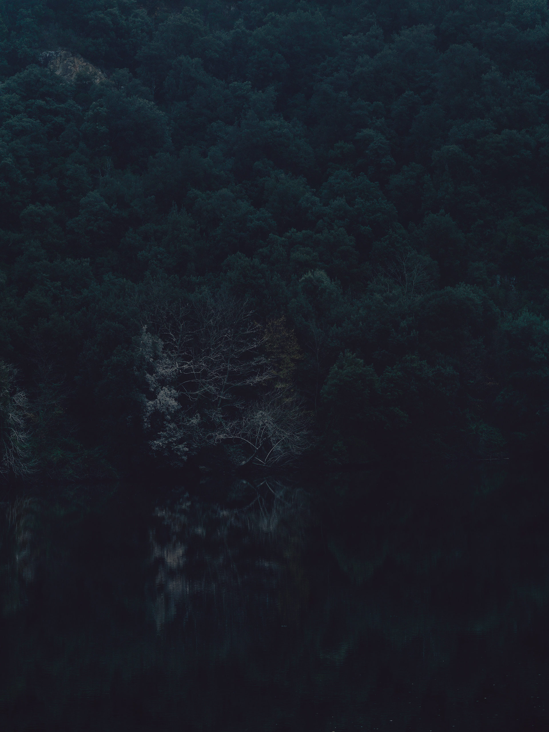 dark, water, fineart, elisabeth winter, Spain, landscape, trees, anke luckmann, www.ankeluckmann.com