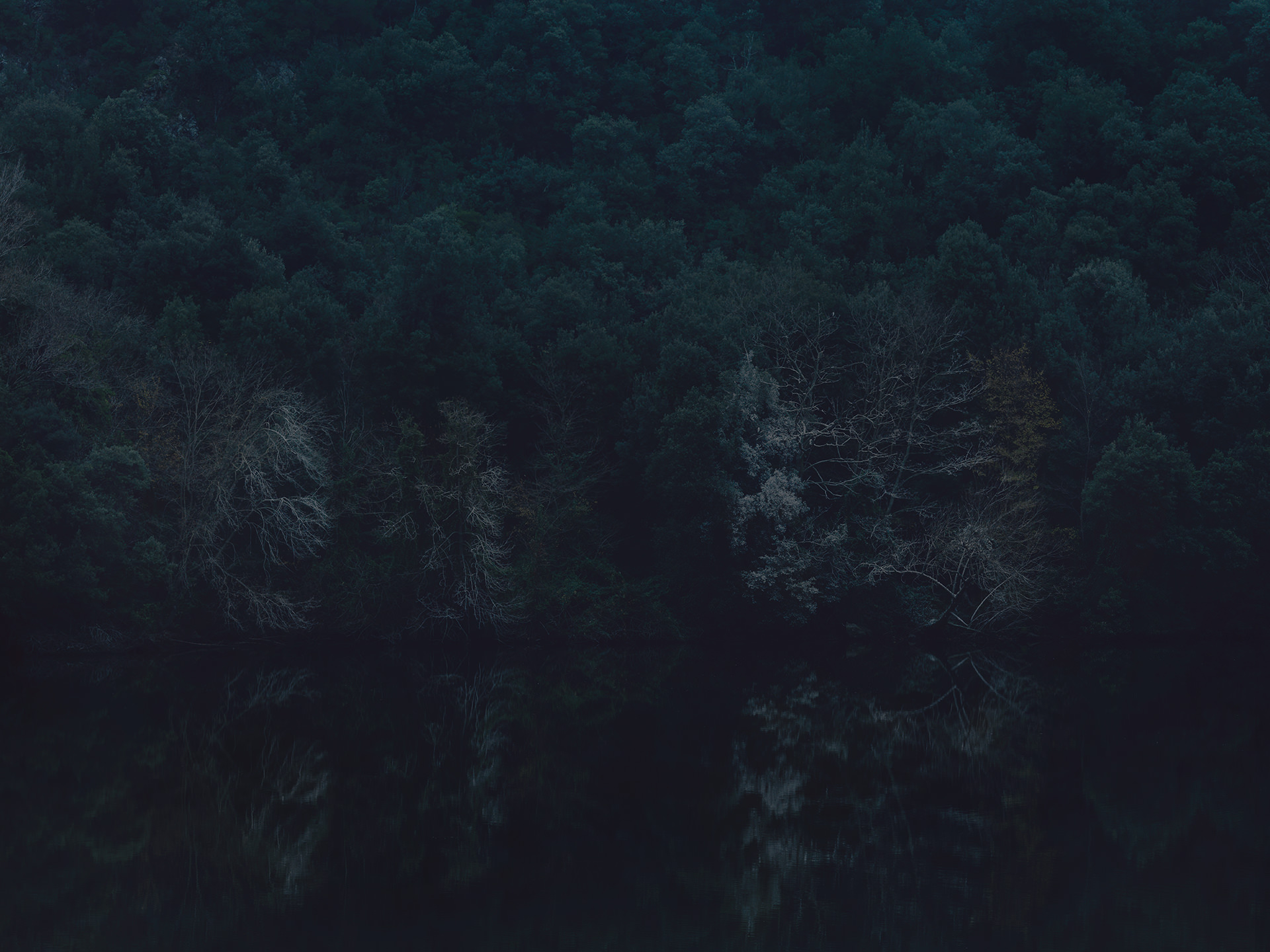 dark, water, fineart, elisabeth winter, Spain, landscape, trees, anke luckmann, www.ankeluckmann.com