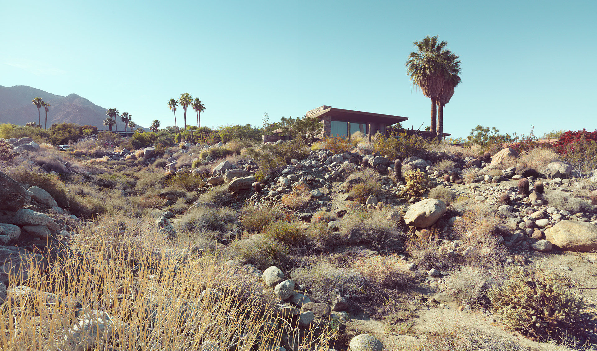 architecture, usa, california, palm springs, california, desert, palms, house, anke luckmann, www.ankeluckmann.com