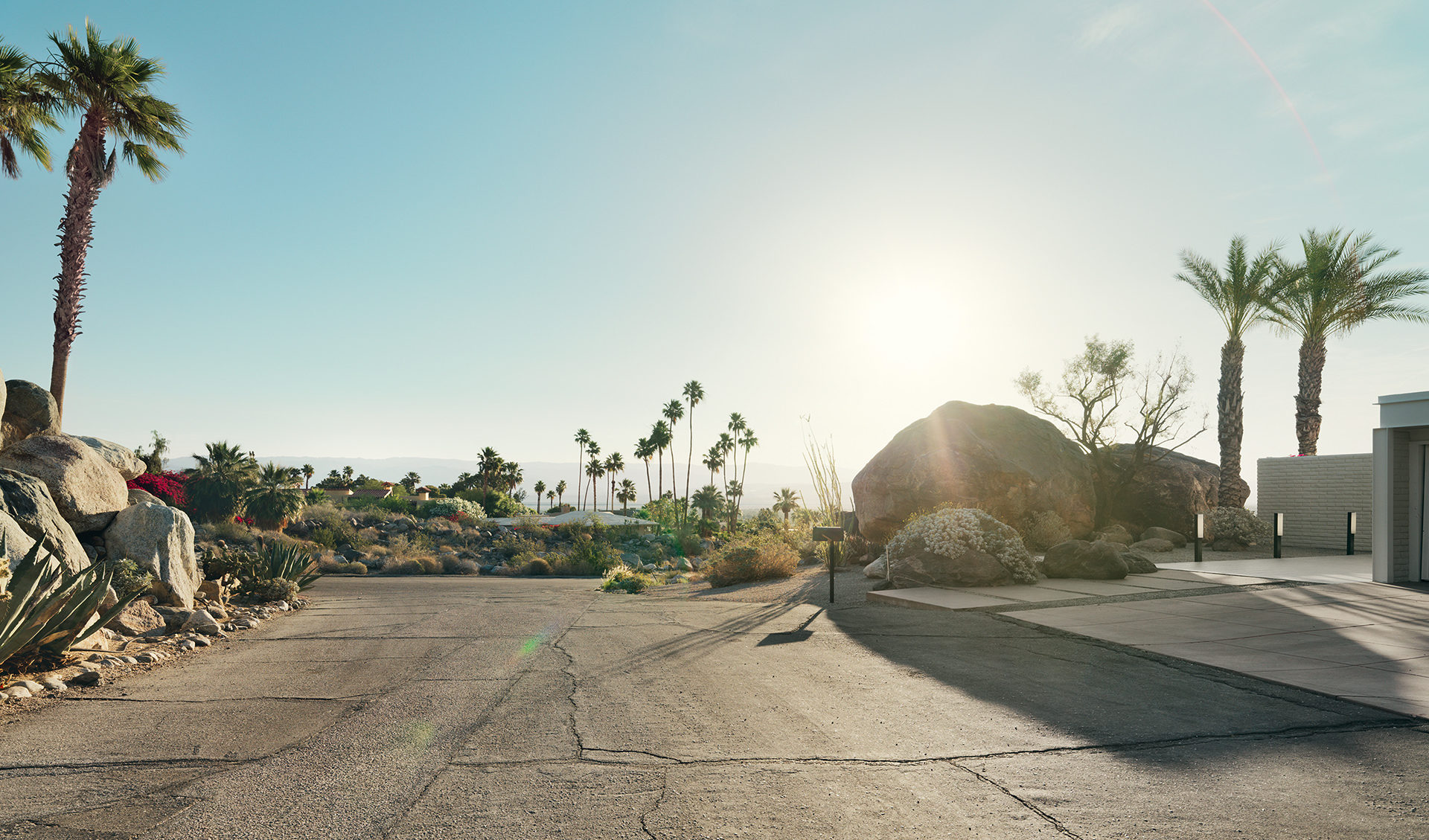 architecture, usa, california, palm springs, california, desert, palms, house, anke luckmann, www.ankeluckmann.com