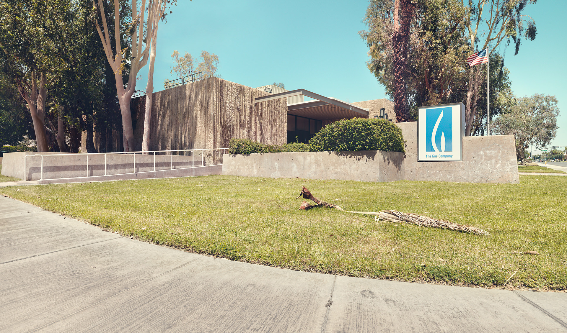 architecture, usa, california, palm springs, california, desert, palms, house, anke luckmann, www.ankeluckmann.com