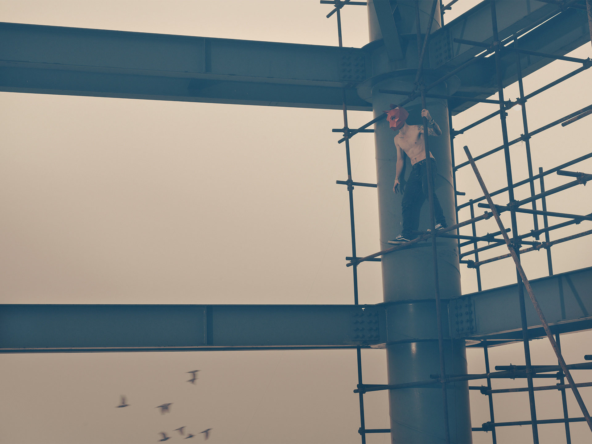 wintercroft, masken, beijing,china, www.ankeluckmann.com, parkour, peking, fine art, personal work, urban, goes awards, cat, roof, birds