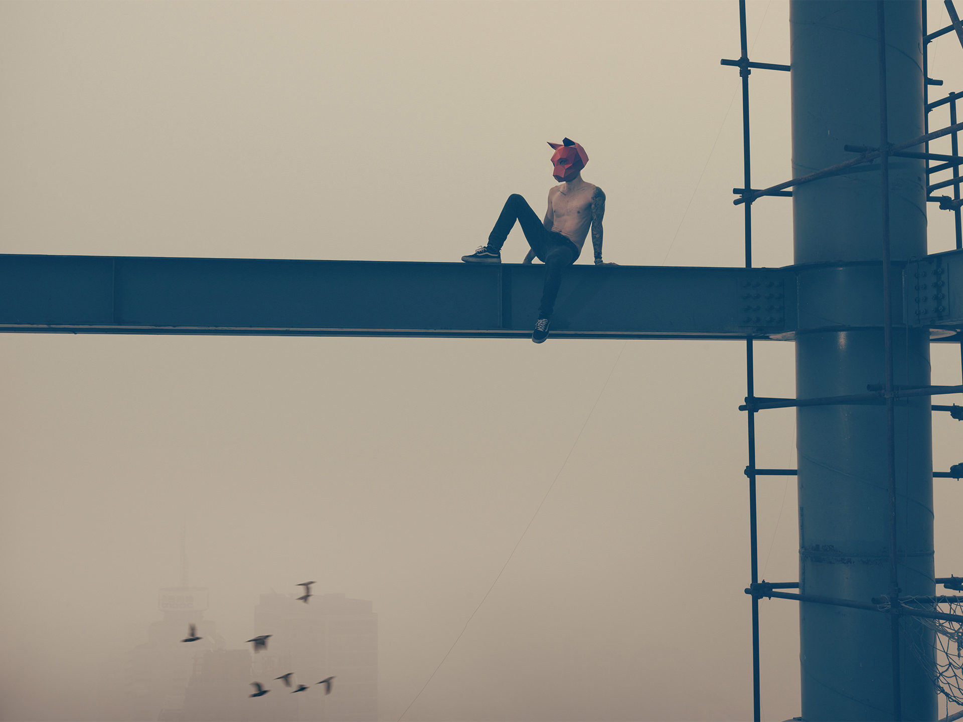 wintercroft, masken, beijing,china, www.ankeluckmann.com, parkour, peking, fine art, personal work, urban, goes awards, cat, roof, birds