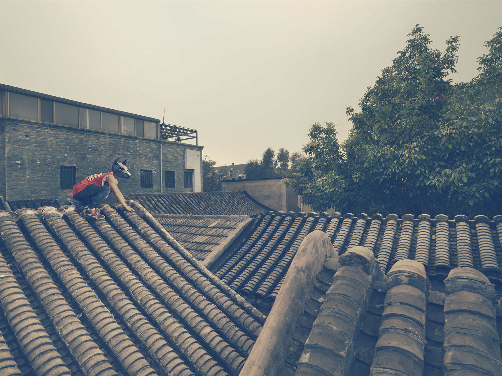 ©ankeluckmann1782, 2016, china, beijing, huntong, personal work, mask, model: lixu, mask: wintercroft