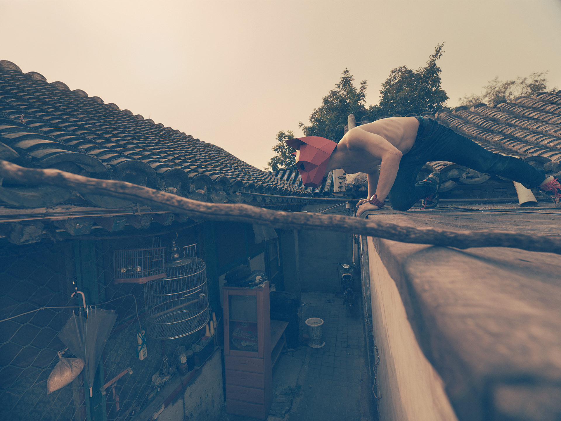 ©ankeluckmann1785, wintercroft, masken, beijing,china, www.ankeluckmann.com, parkour, peking, fine art, personal work, urban, goes awards, cat, roof, birds cage, hutong