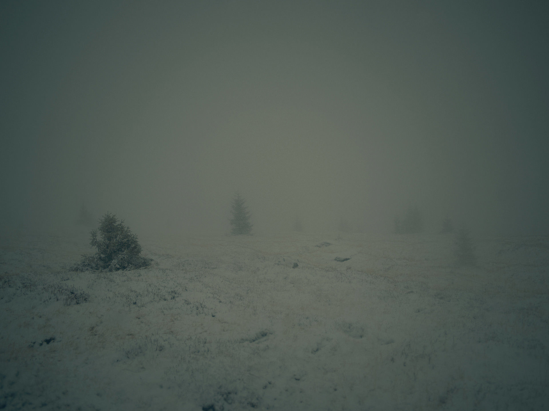 landscape, anke luckmann, romania, mountains, www.ankeluckmann.com, snow, trees