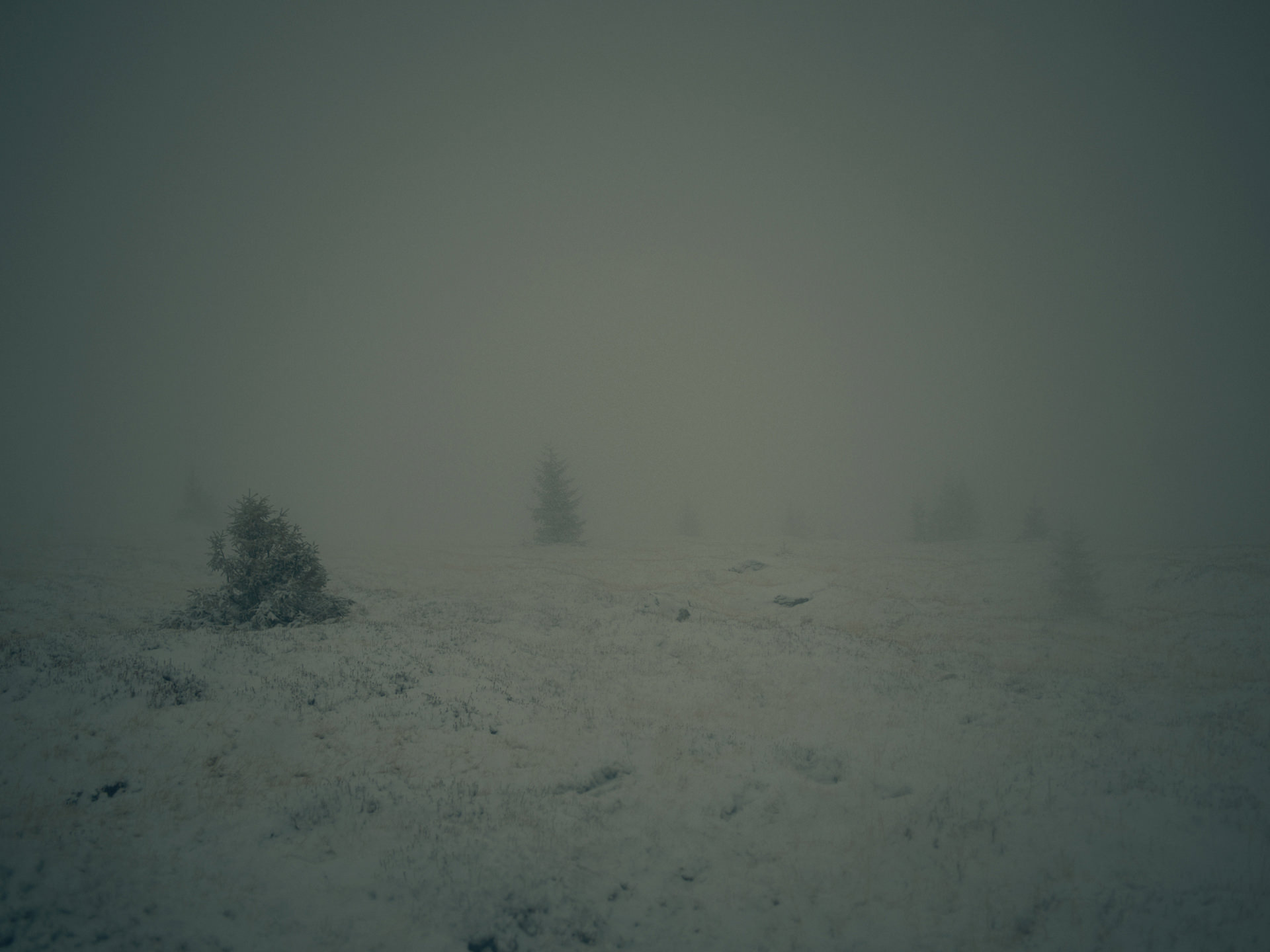 landscape, anke luckmann, romania, mountains, www.ankeluckmann.com, snow, trees