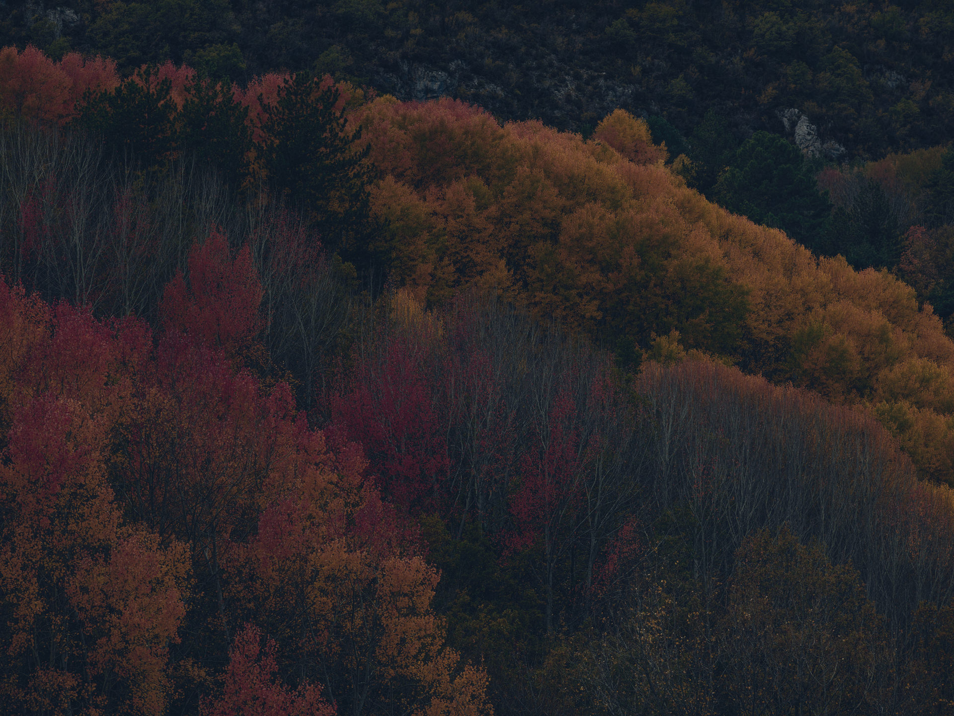 pyrenees, landscape, france, spain, anke luckmann, mountains, www.ankeluckmann.com, trees, colorful, leaves, red