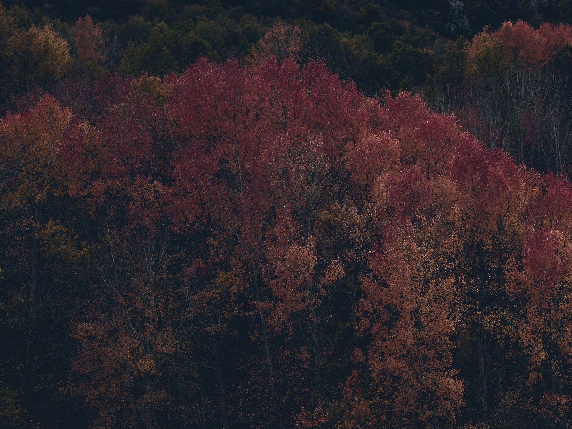 pyrenees, landscape, france, spain, anke luckmann, mountains, www.ankeluckmann.com, trees, colorful, leaves, red