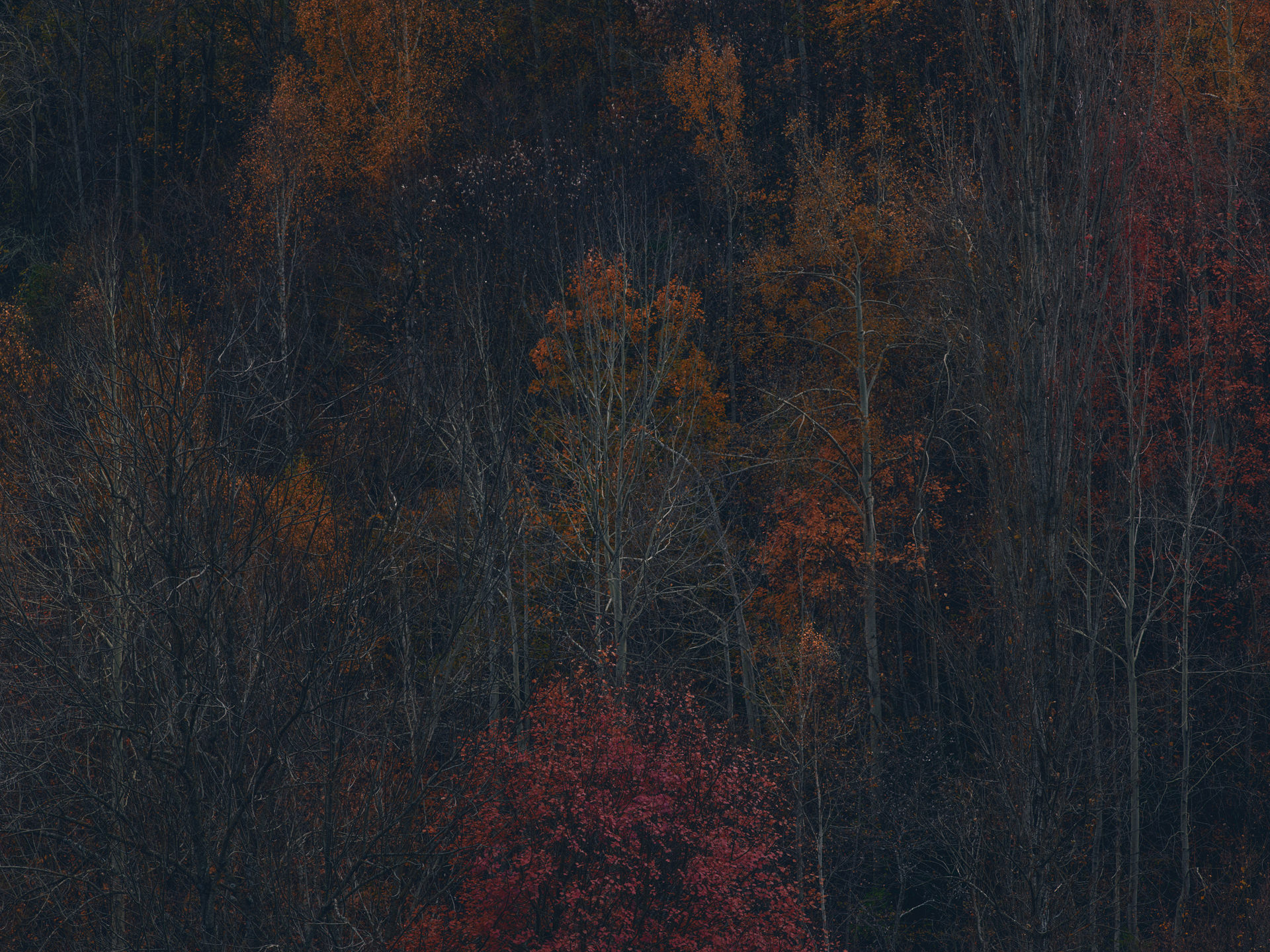 pyrenees, landscape, france, spain, anke luckmann, mountains, www.ankeluckmann.com, trees, colorful, leaves, red