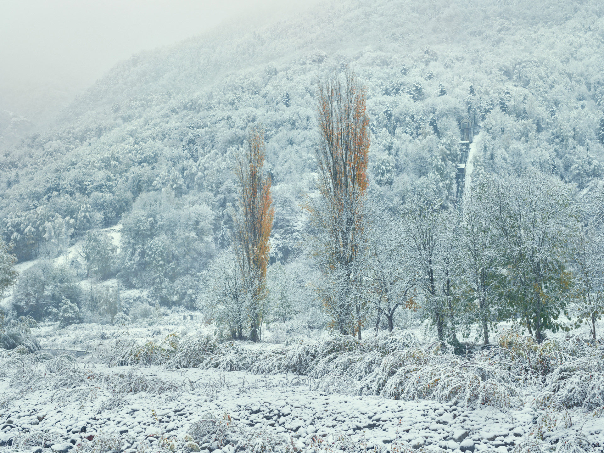 pyrenees, landscape, france, spain, anke luckmann, mountains, www.ankeluckmann.com, trees, white, snow