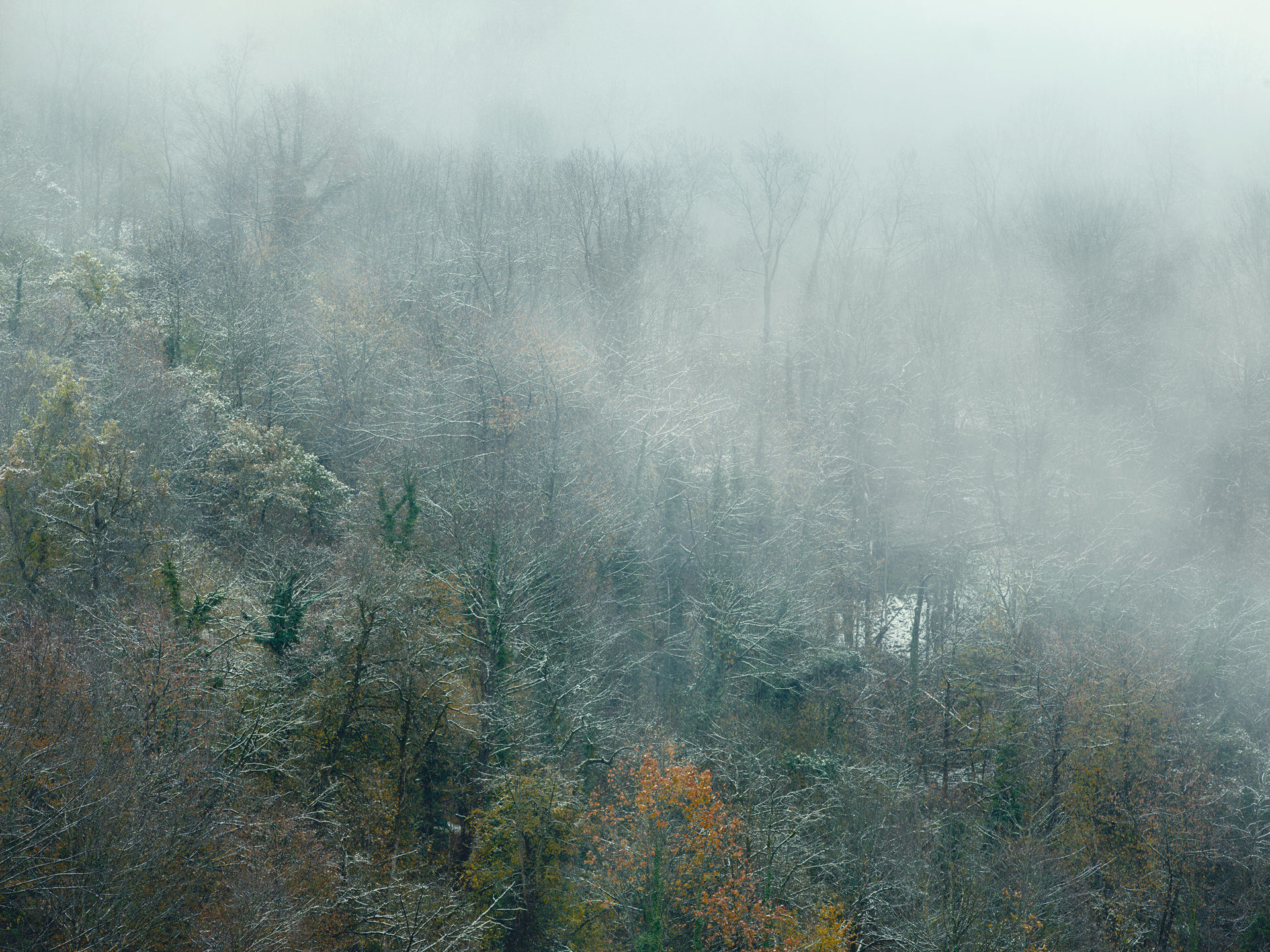 pyrenees, landscape, france, spain, anke luckmann, mountains, www.ankeluckmann.com, trees, white