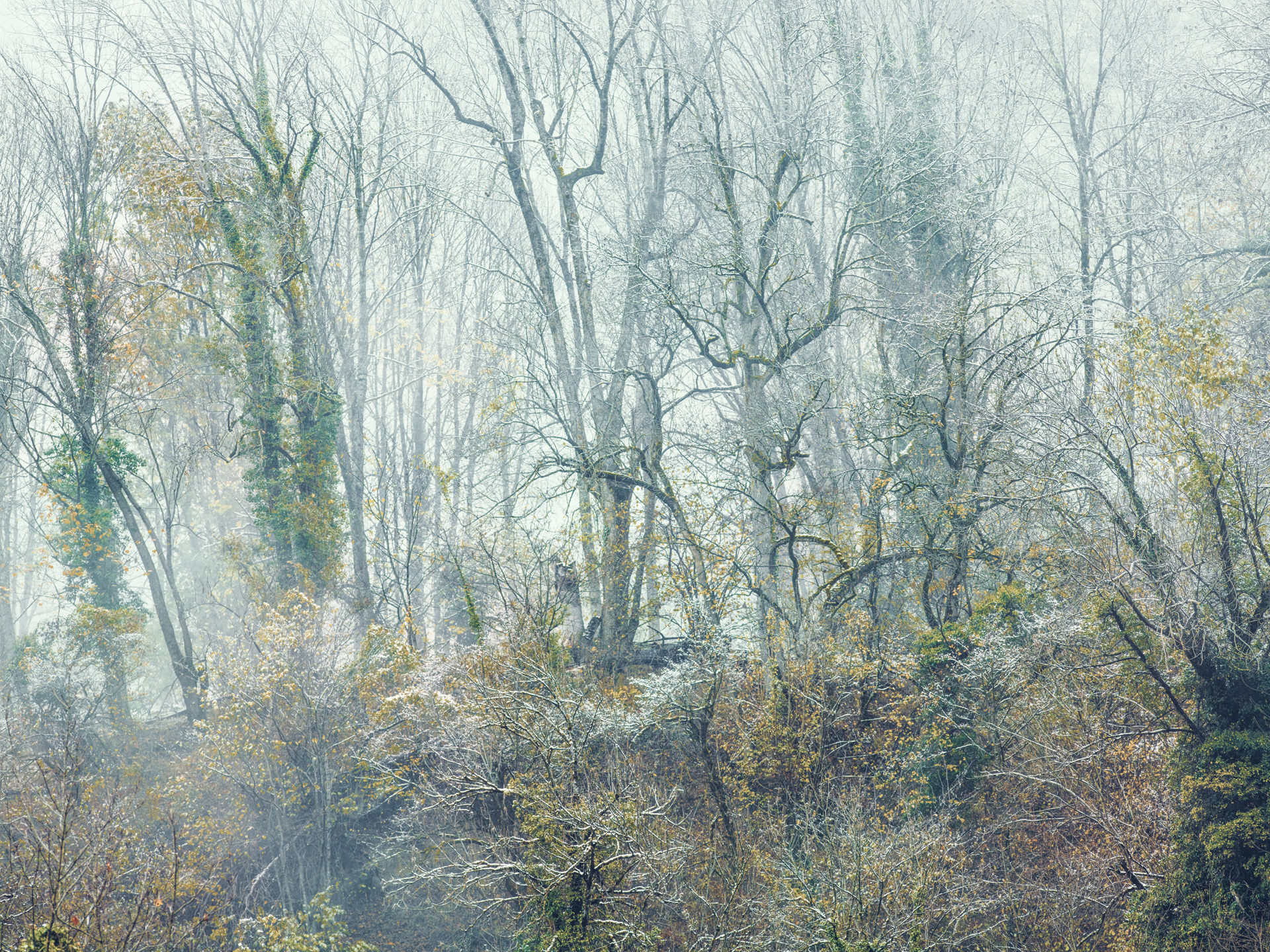 pyrenees, landscape, france, spain, anke luckmann, mountains, www.ankeluckmann.com, trees, white
