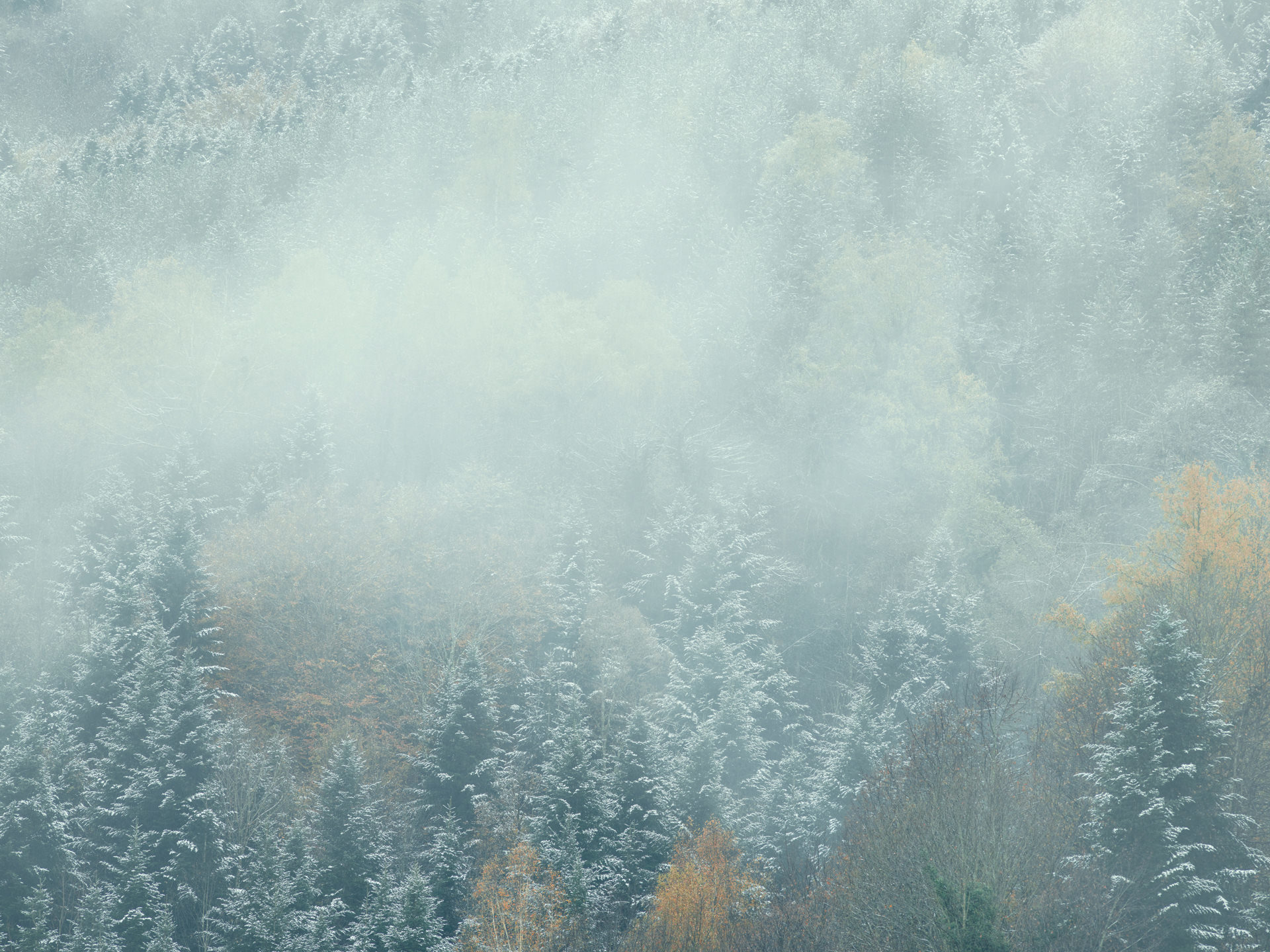 pyrenees, landscape, france, spain, anke luckmann, mountains, www.ankeluckmann.com, trees, white
