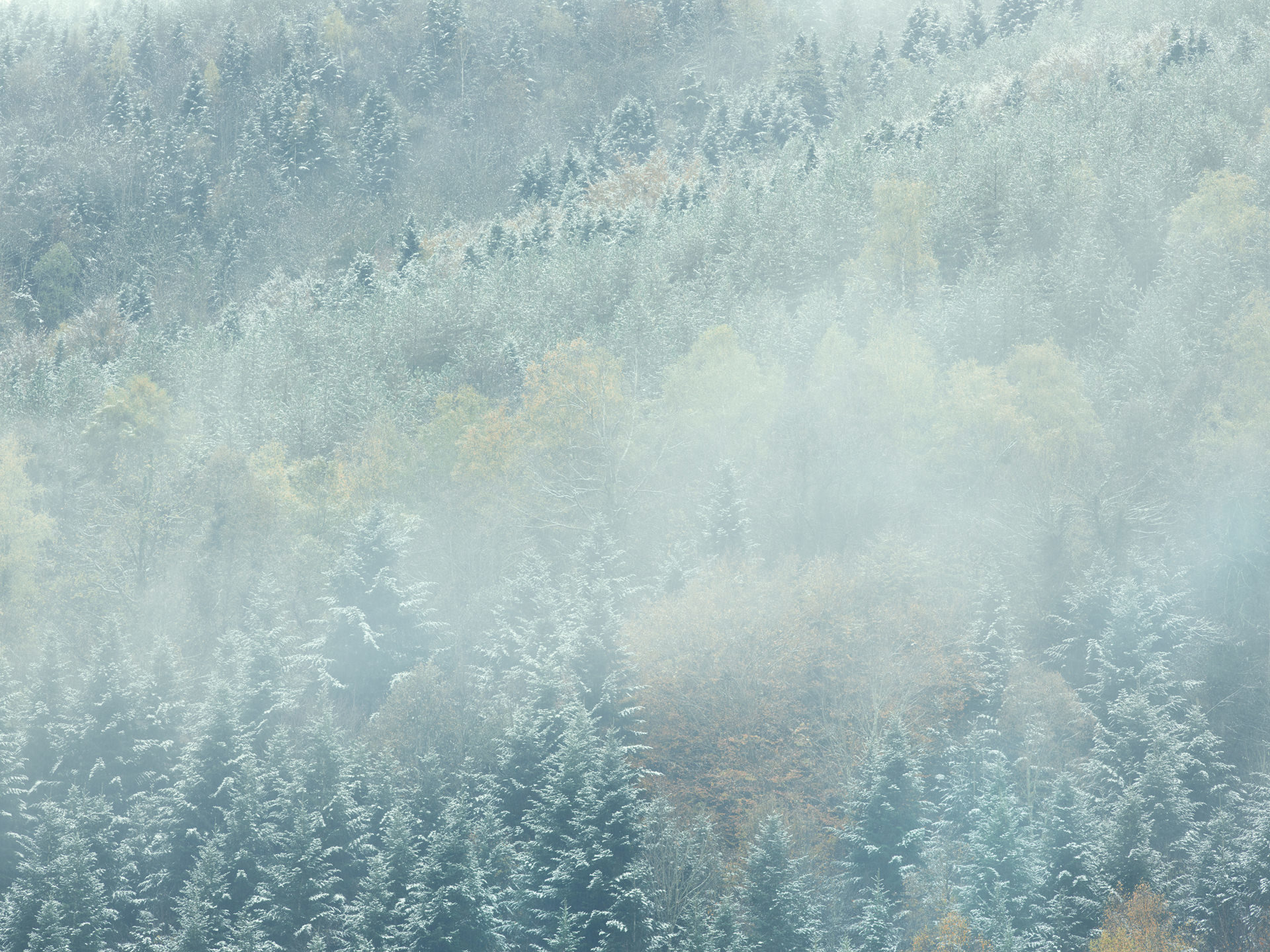 pyrenees, landscape, france, spain, anke luckmann, mountains, www.ankeluckmann.com, trees, white