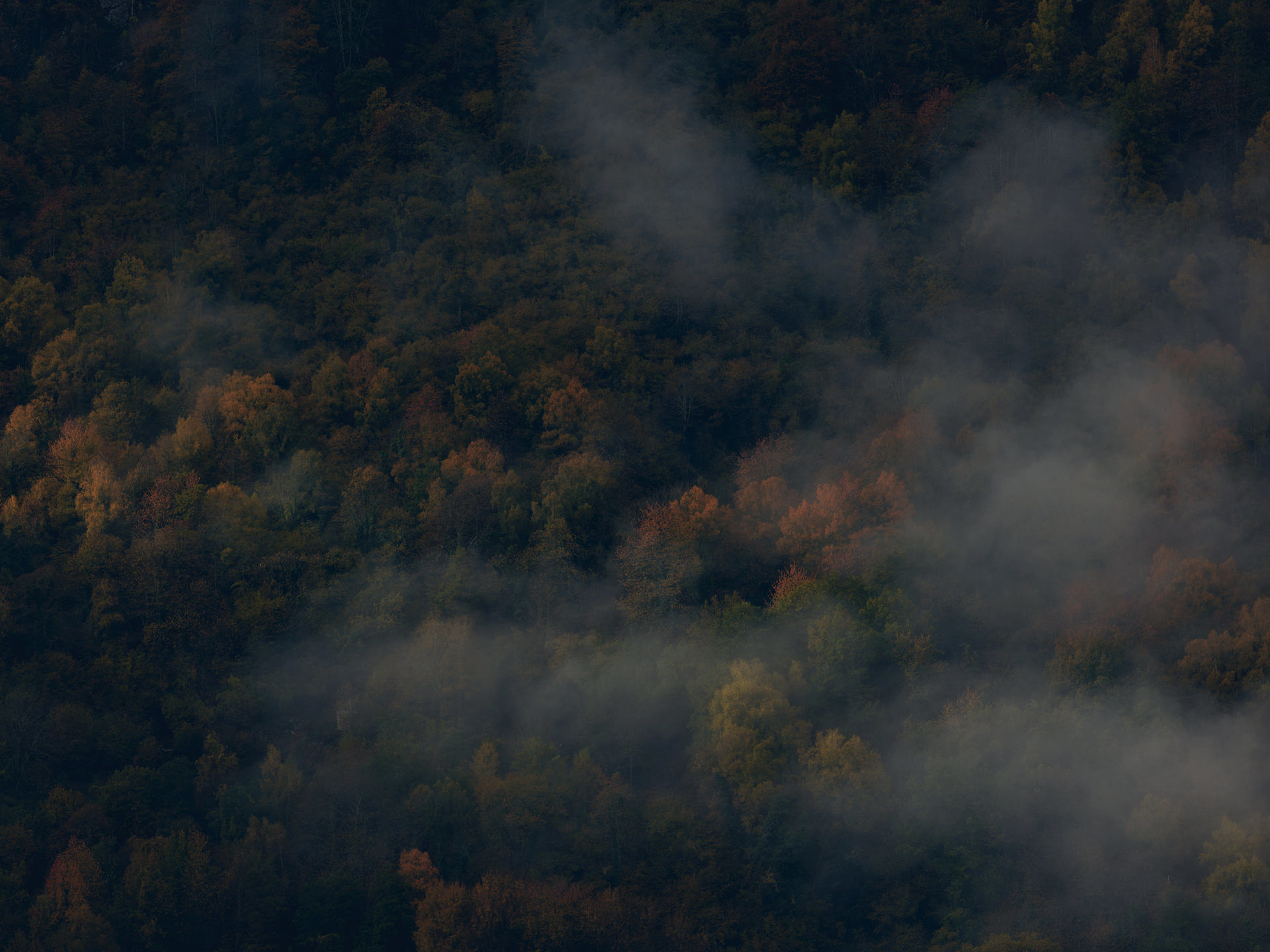 pyrenees, landscape, france, spain, anke luckmann, mountains, www.ankeluckmann.com, trees