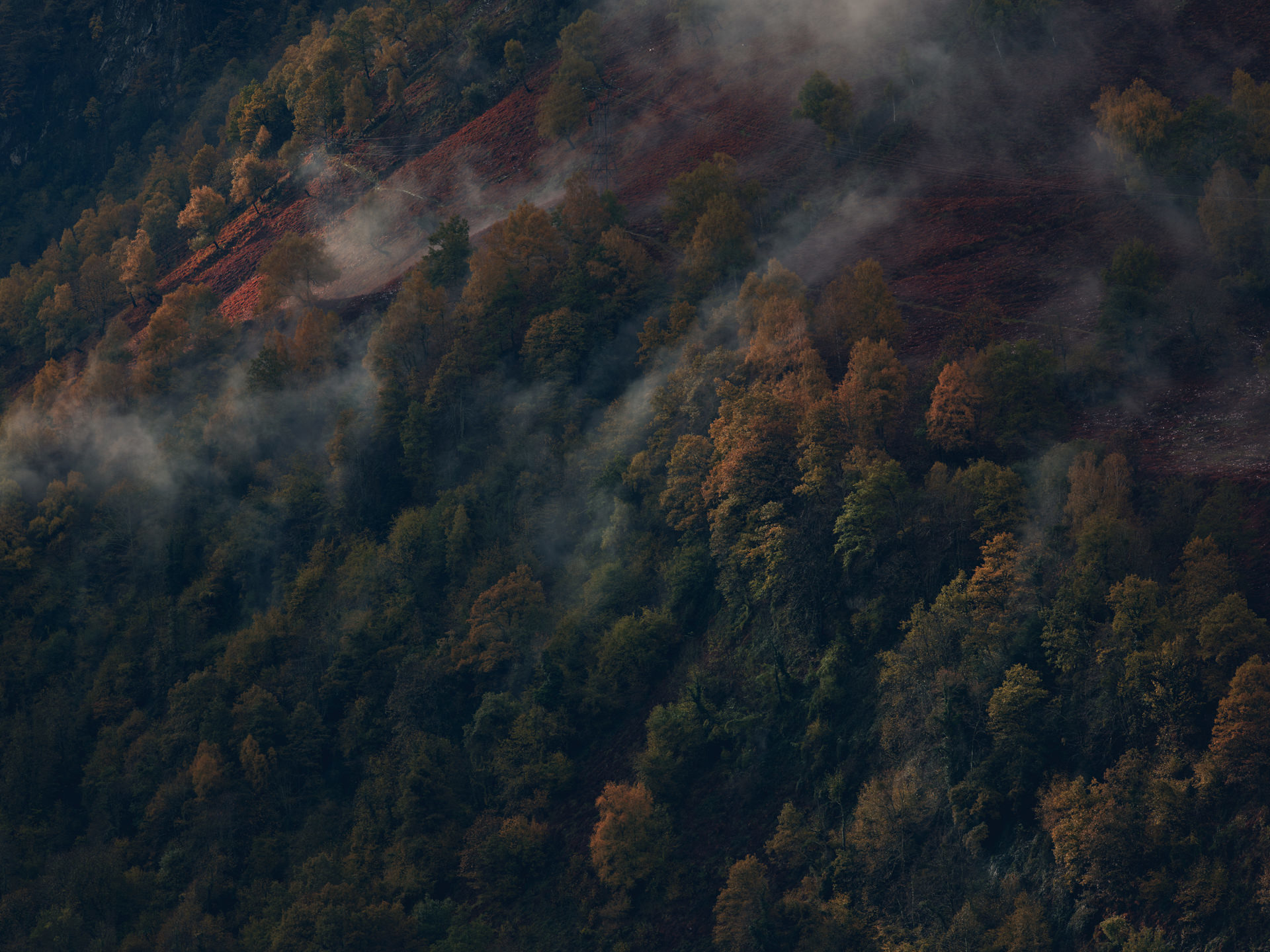 pyrenees, landscape, france, spain, anke luckmann, mountains, www.ankeluckmann.com, trees