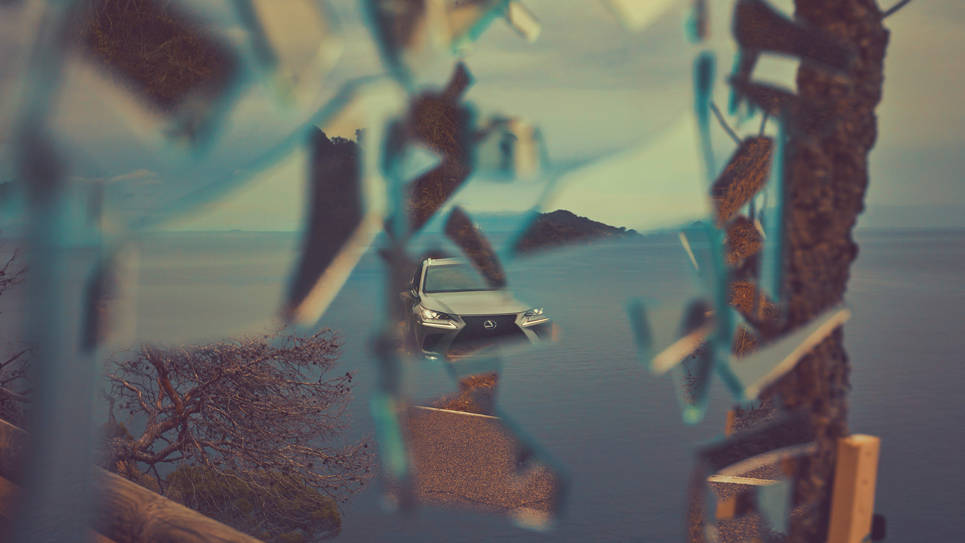 ©ankeluckmann1983 1080