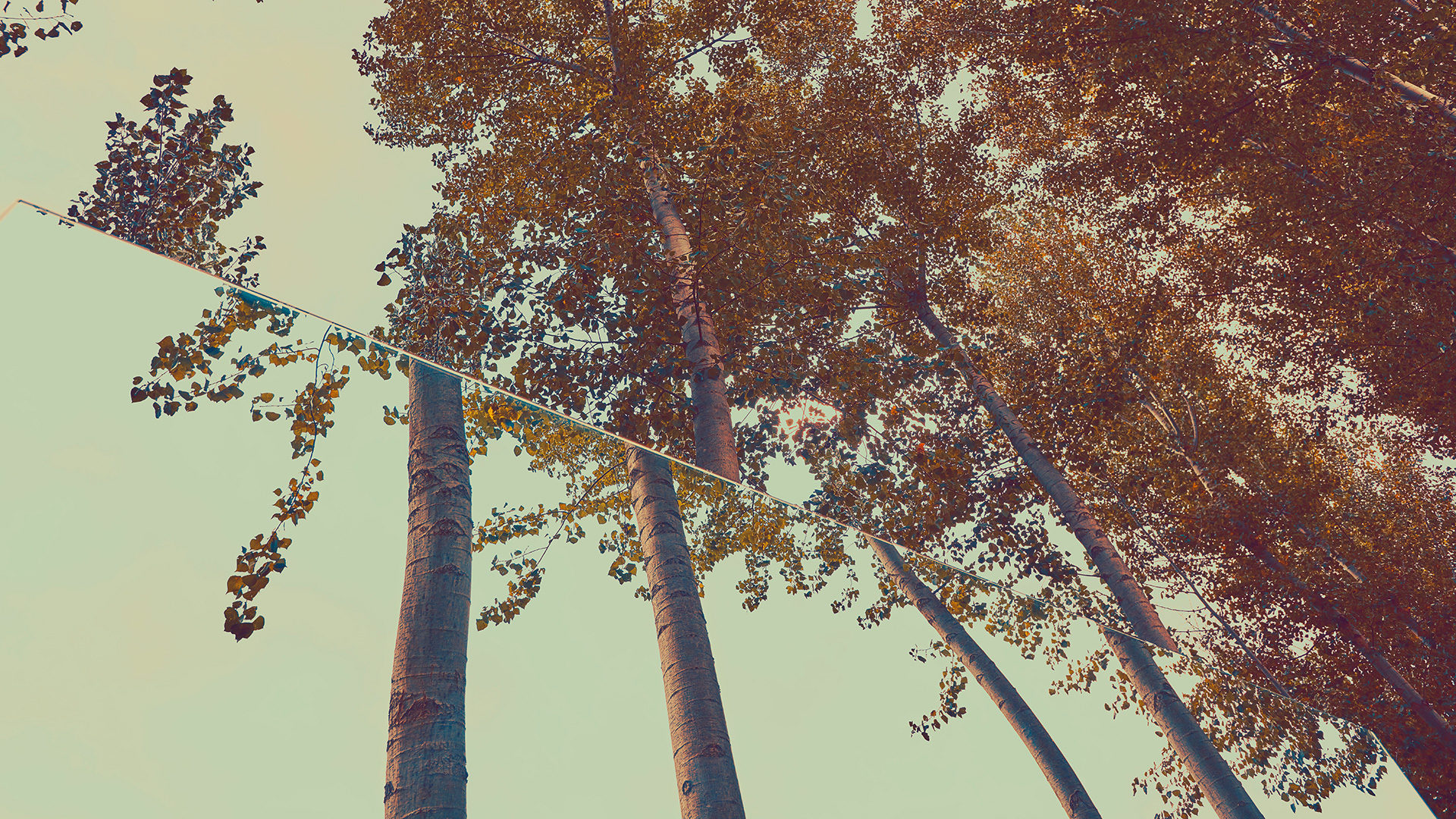 ©ankeluckmann1988 1080