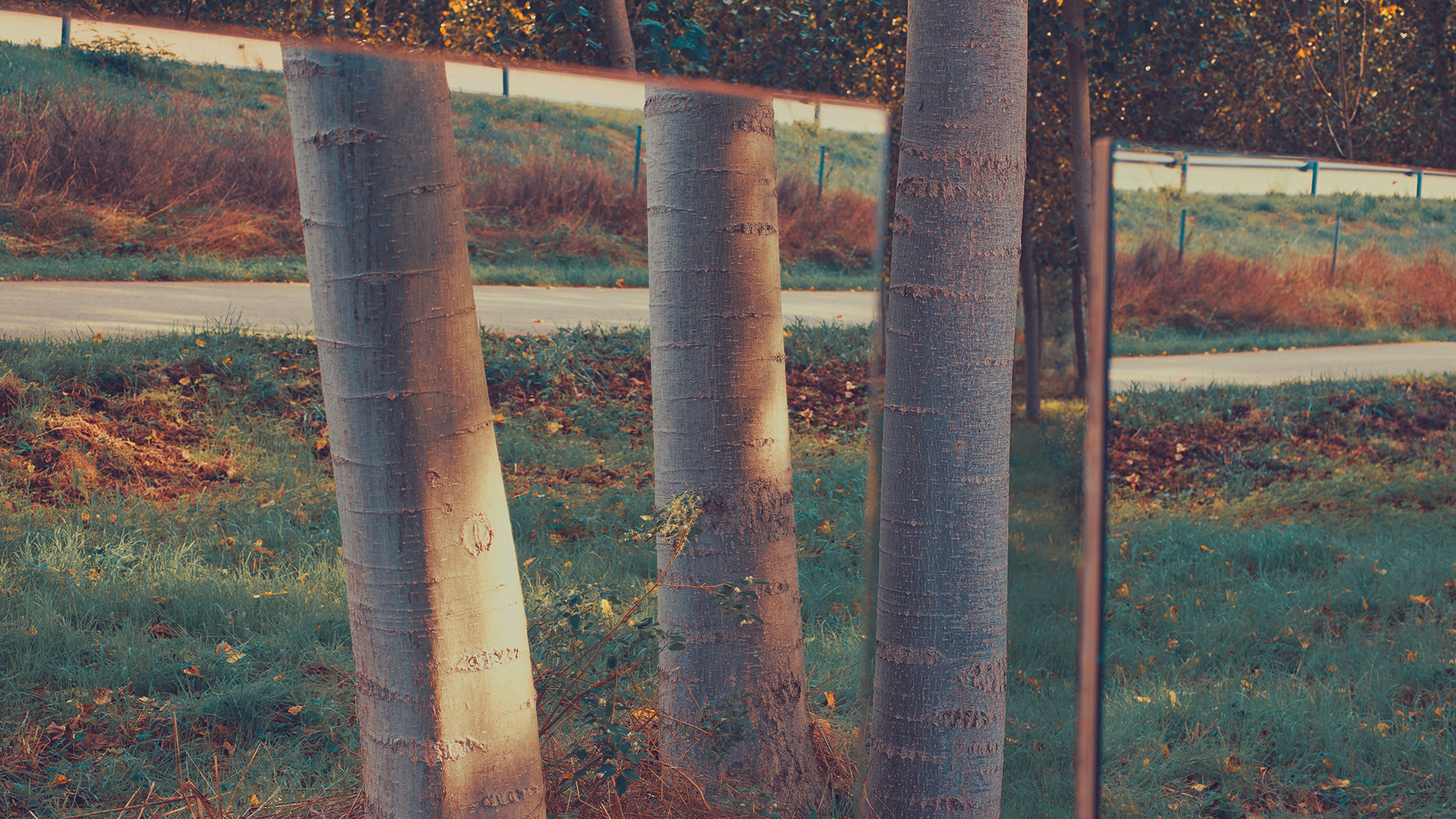 ©ankeluckmann1994 1080