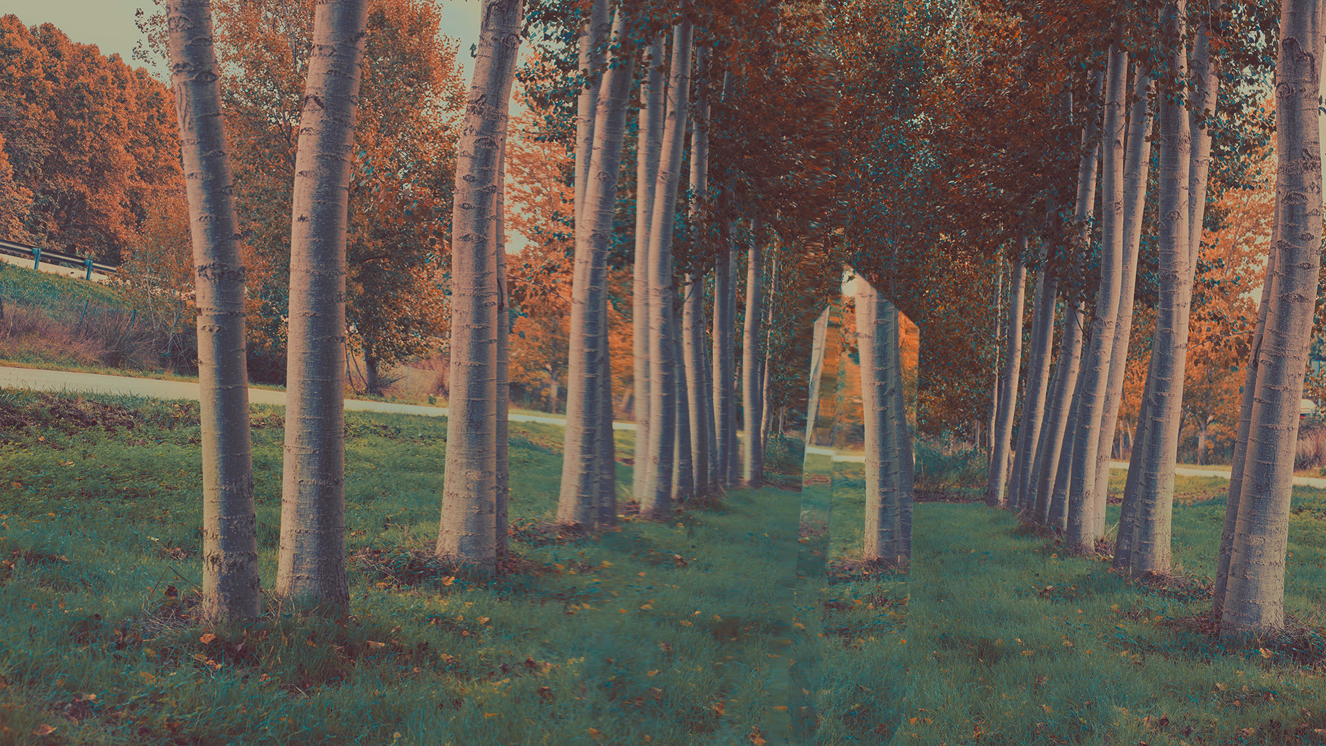 ©ankeluckmann1995 1080