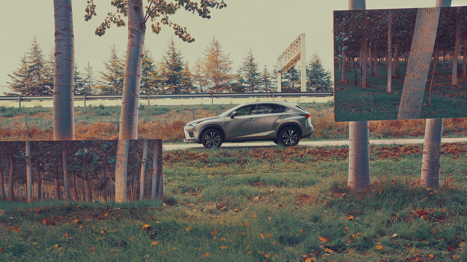 ©ankeluckmann1996 1080