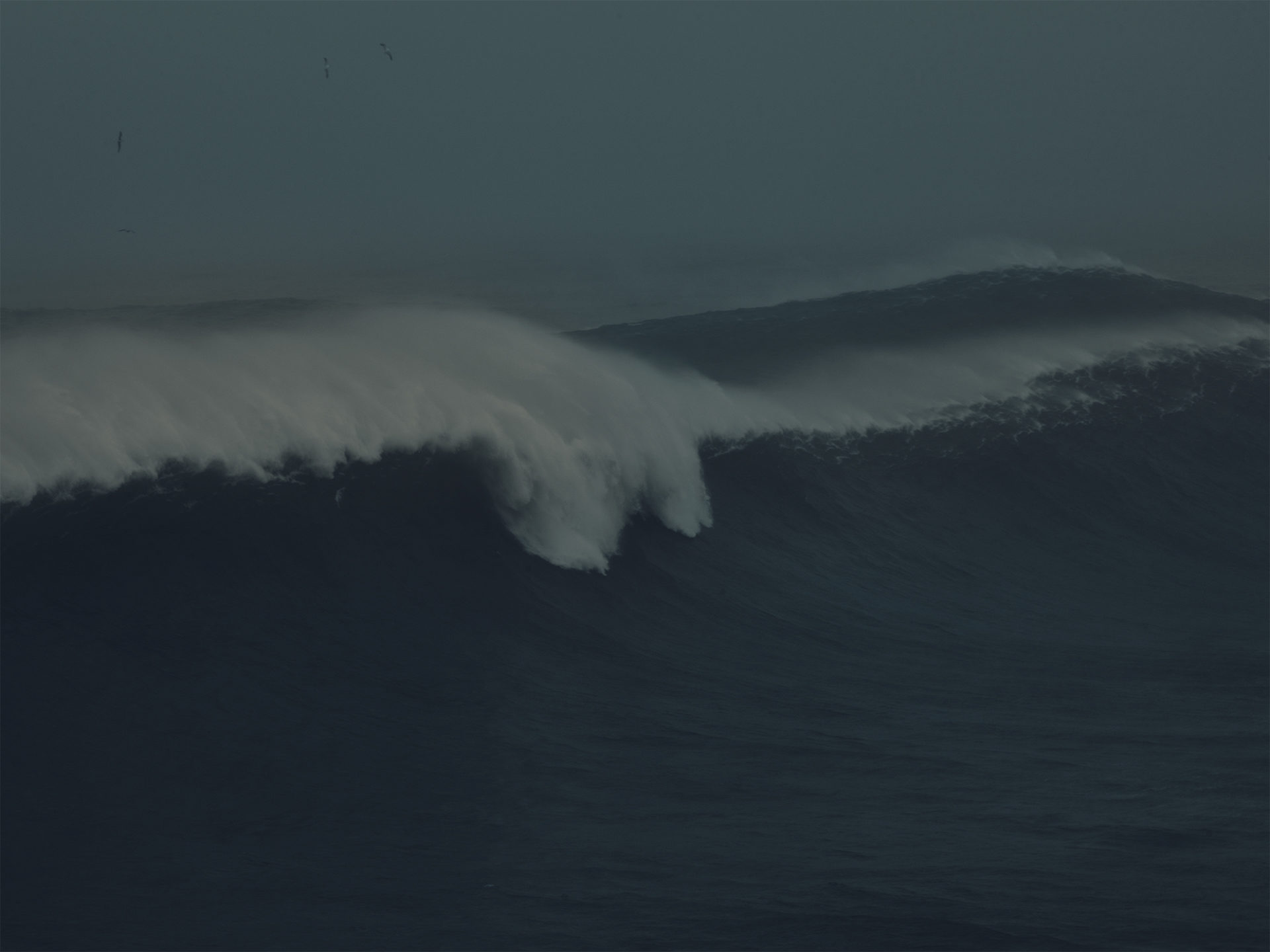 wellen, waves, landscape, water, sea, anke luckmann, nazare, portugal