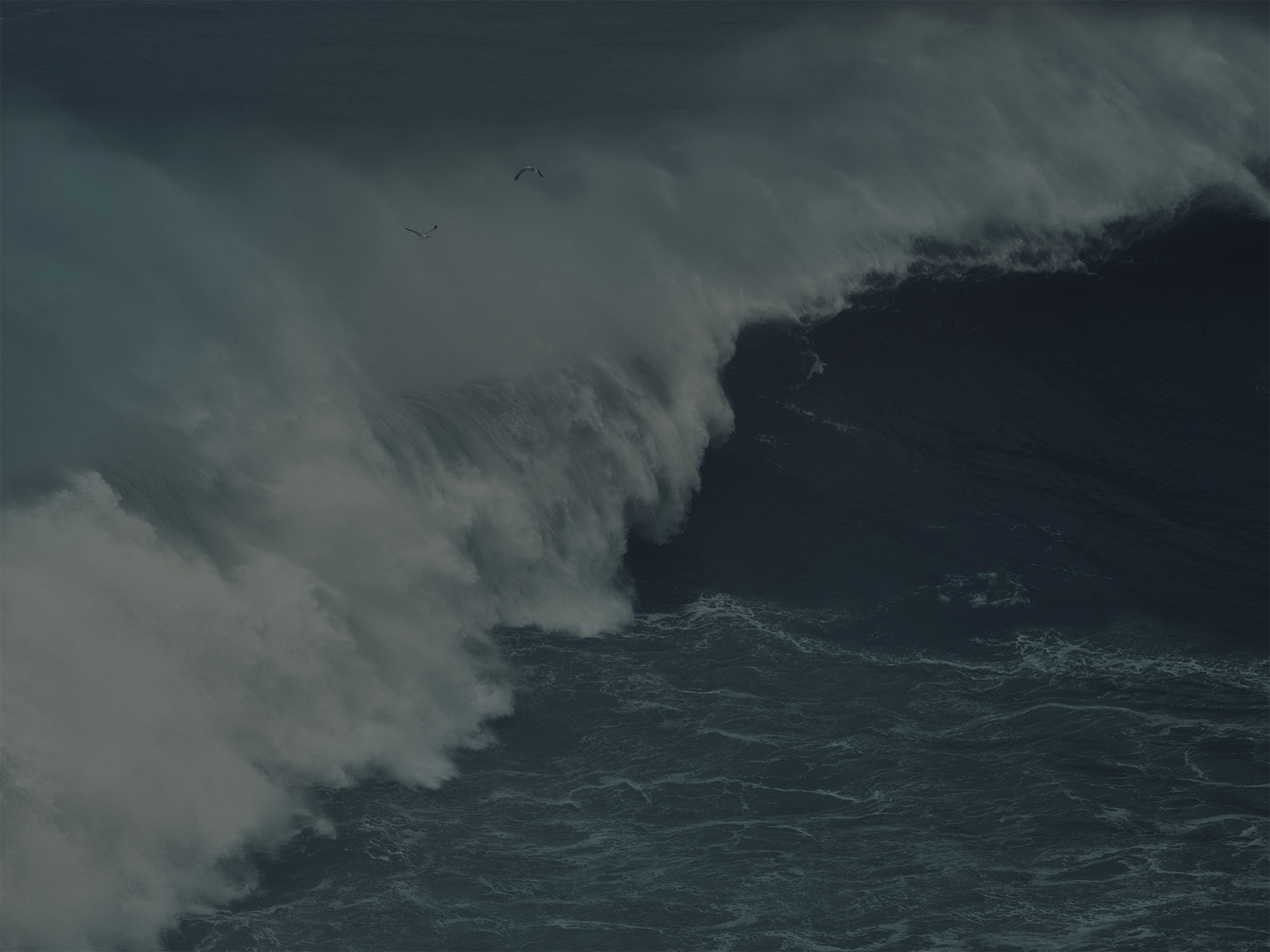 wellen, waves, landscape, water, sea, anke luckmann, nazare, portugal