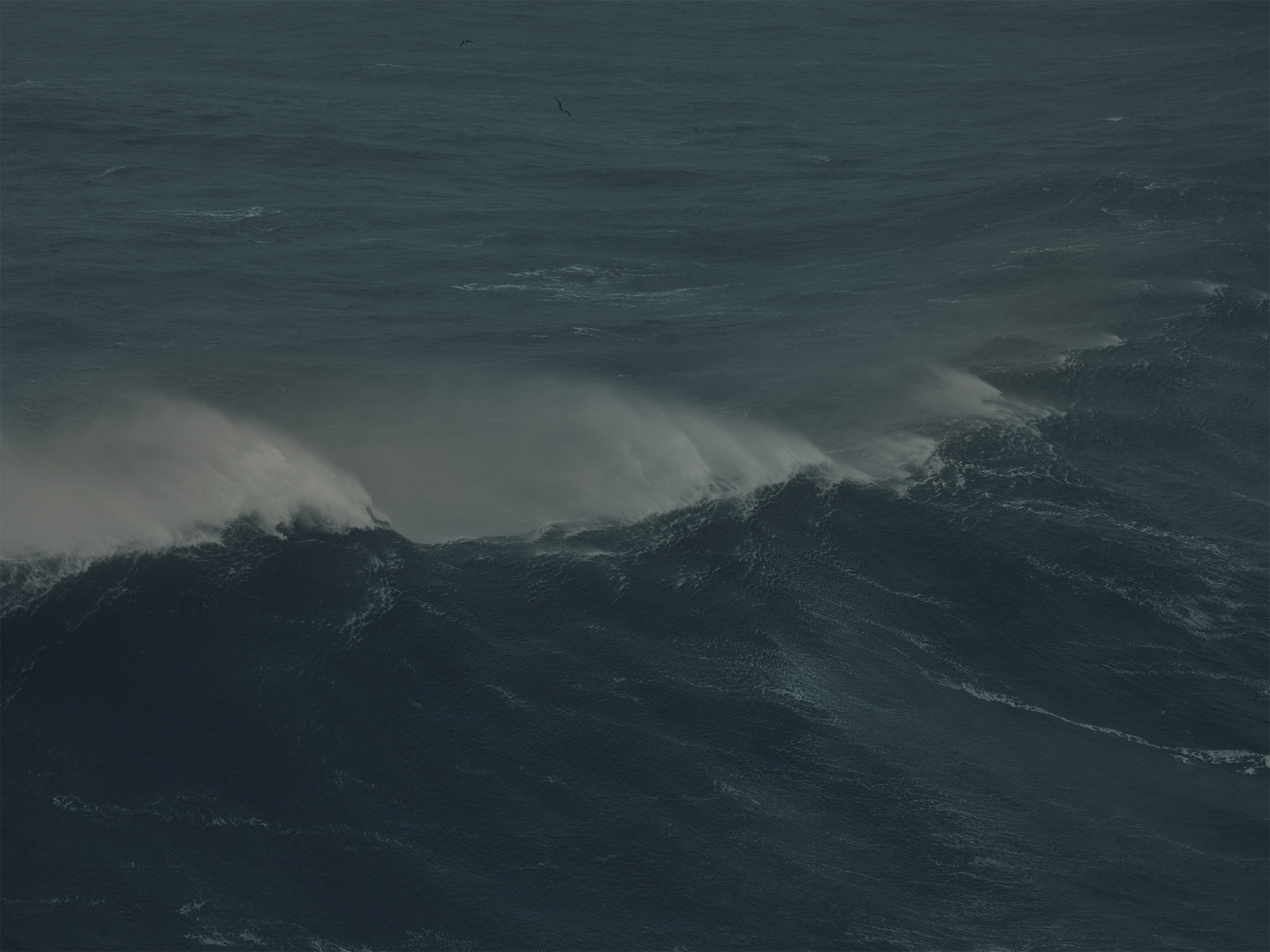 wellen, waves, landscape, water, sea, anke luckmann, nazare, portugal