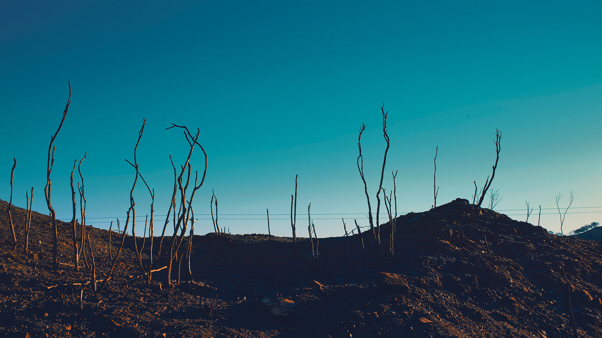 ©ankeluckmann2254 1080