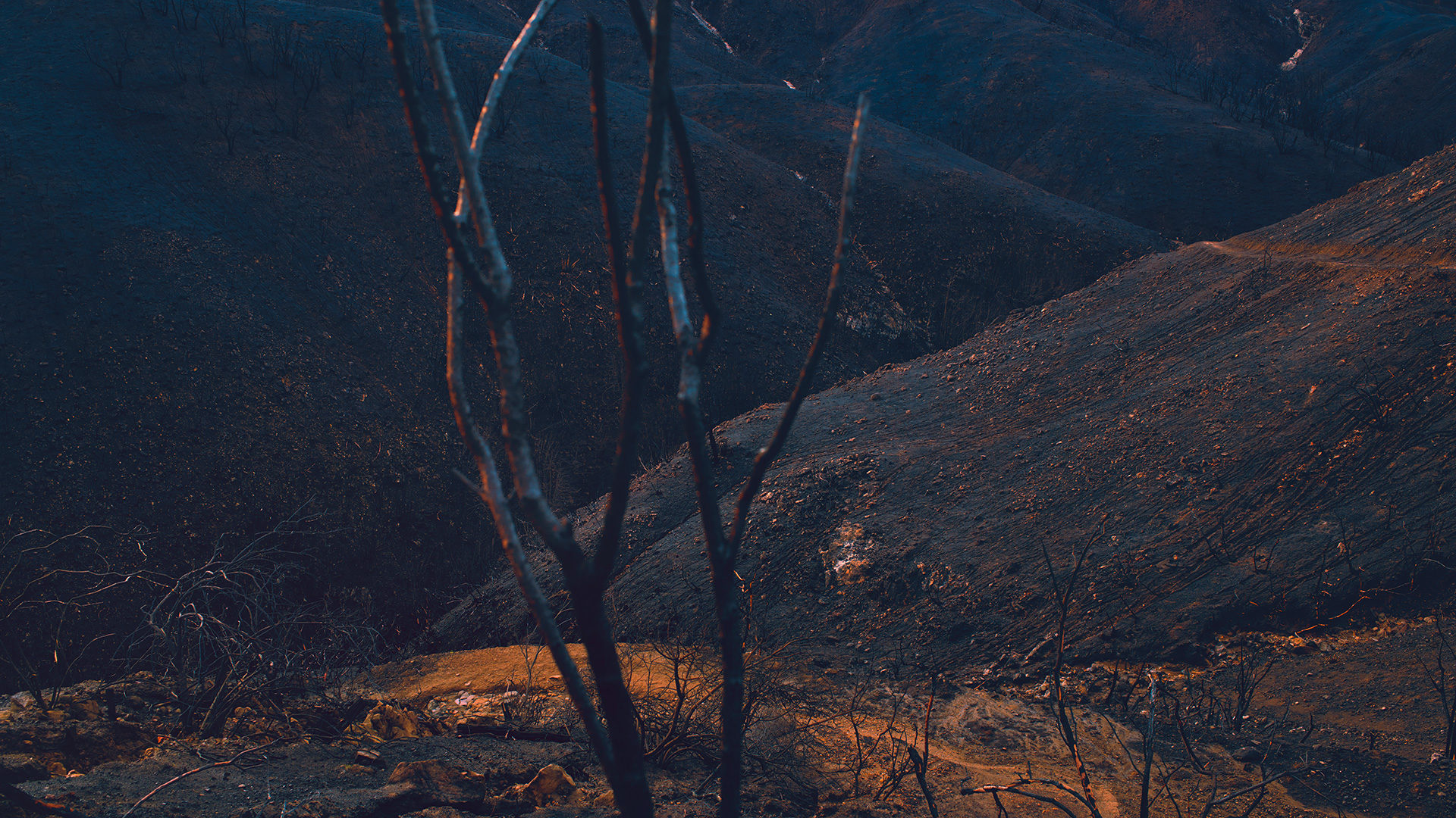 ©ankeluckmann2270 1080