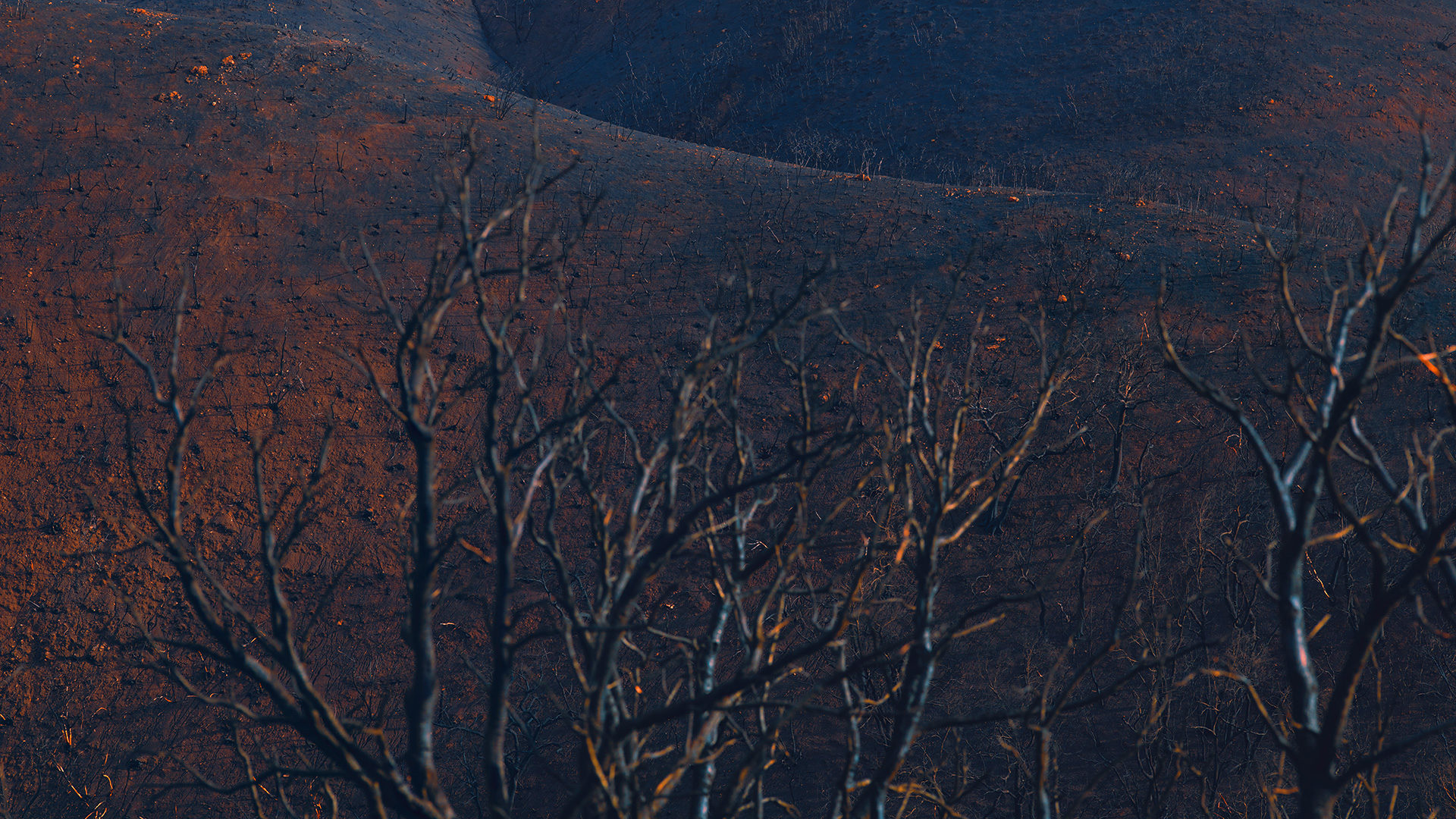 ©ankeluckmann2271 1080