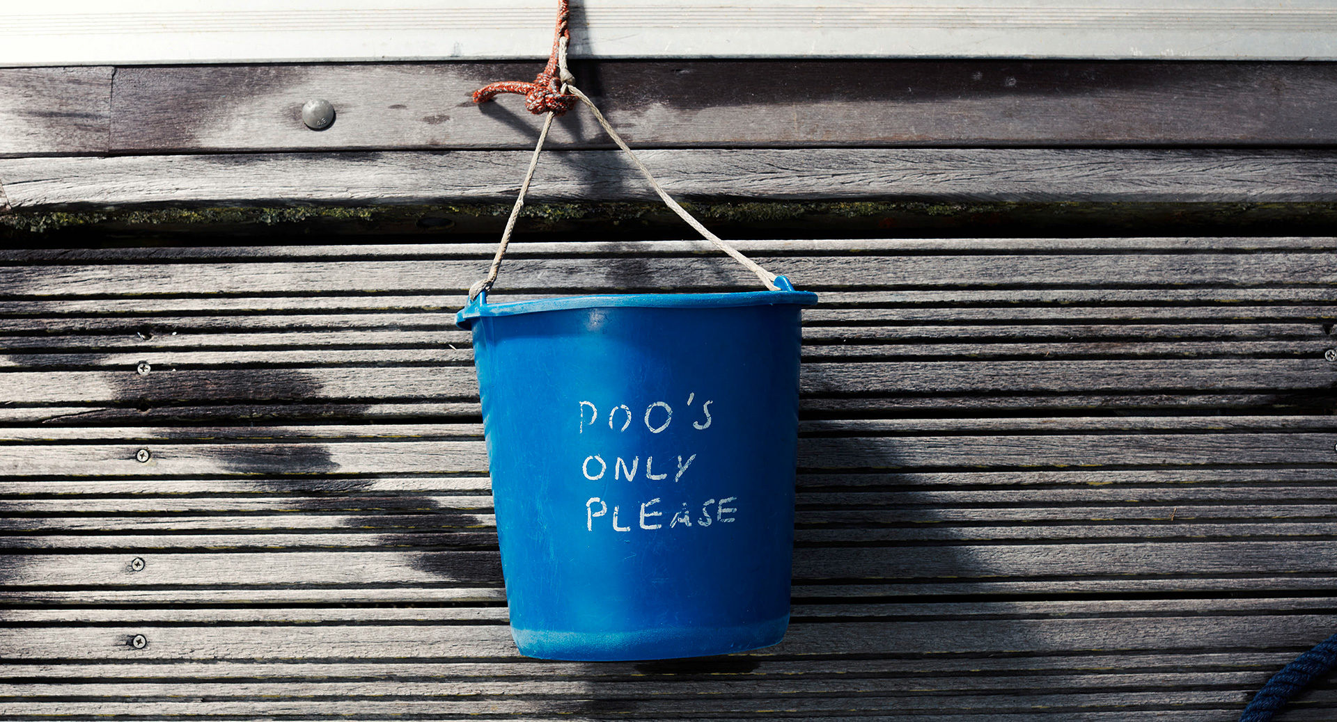 ©ankeluckmann2362 1038